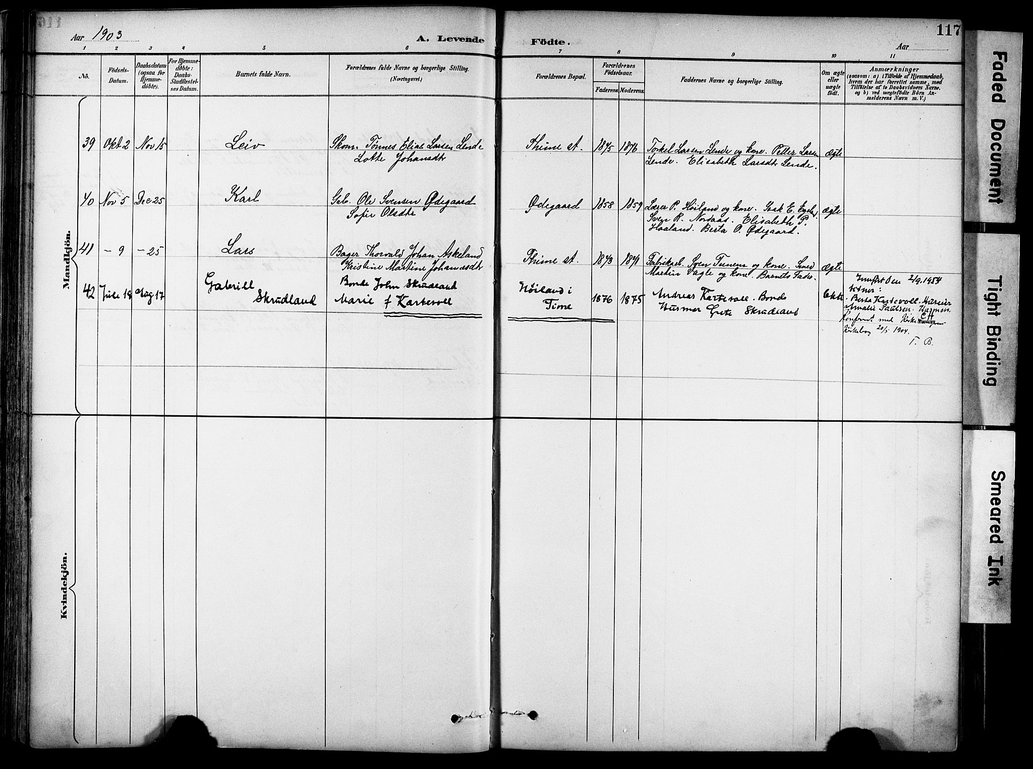 Lye sokneprestkontor, AV/SAST-A-101794/001/30BA/L0011: Parish register (official) no. A 9, 1893-1903, p. 117