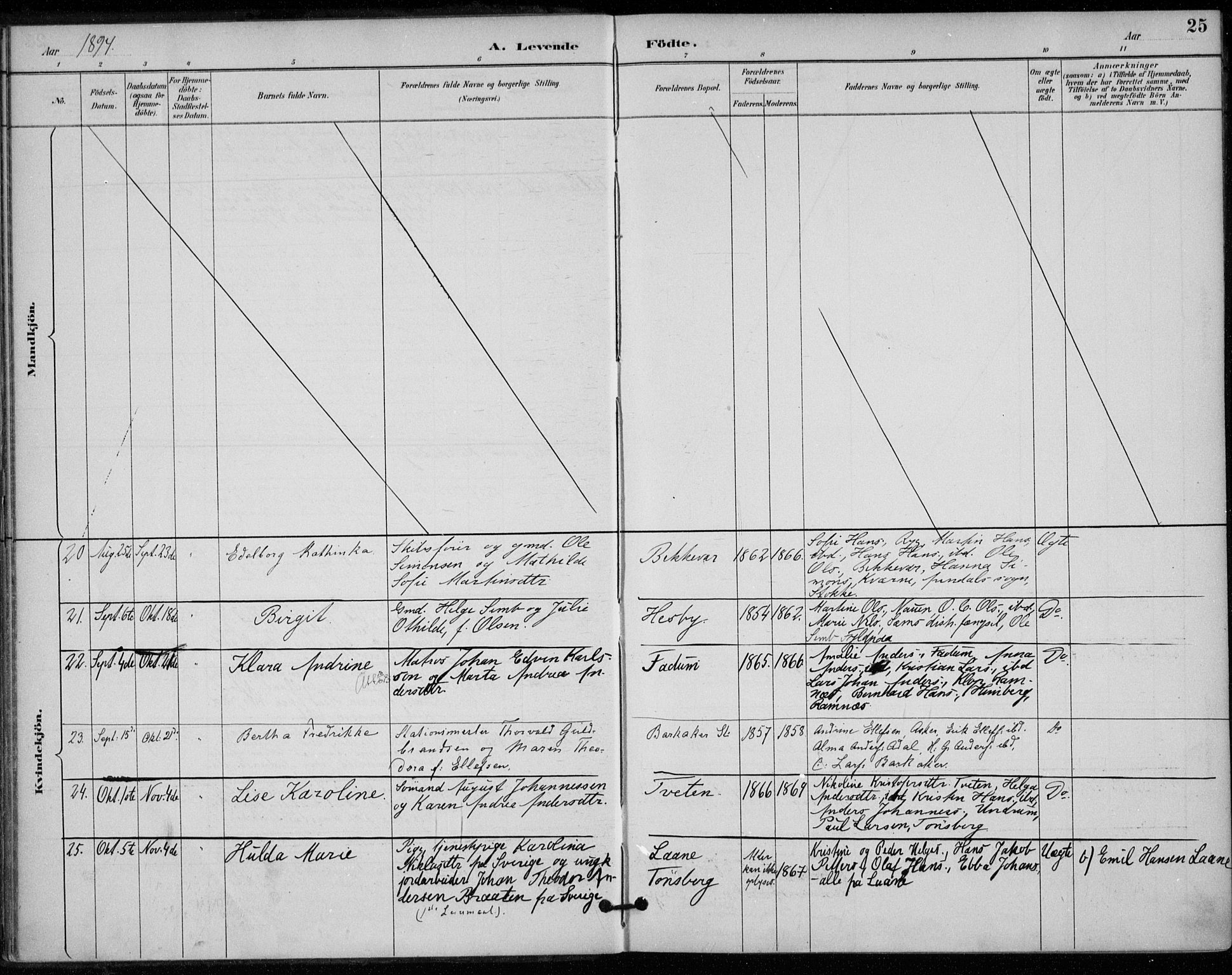 Sem kirkebøker, AV/SAKO-A-5/F/Fa/L0011: Parish register (official) no. I 11, 1888-1904, p. 25