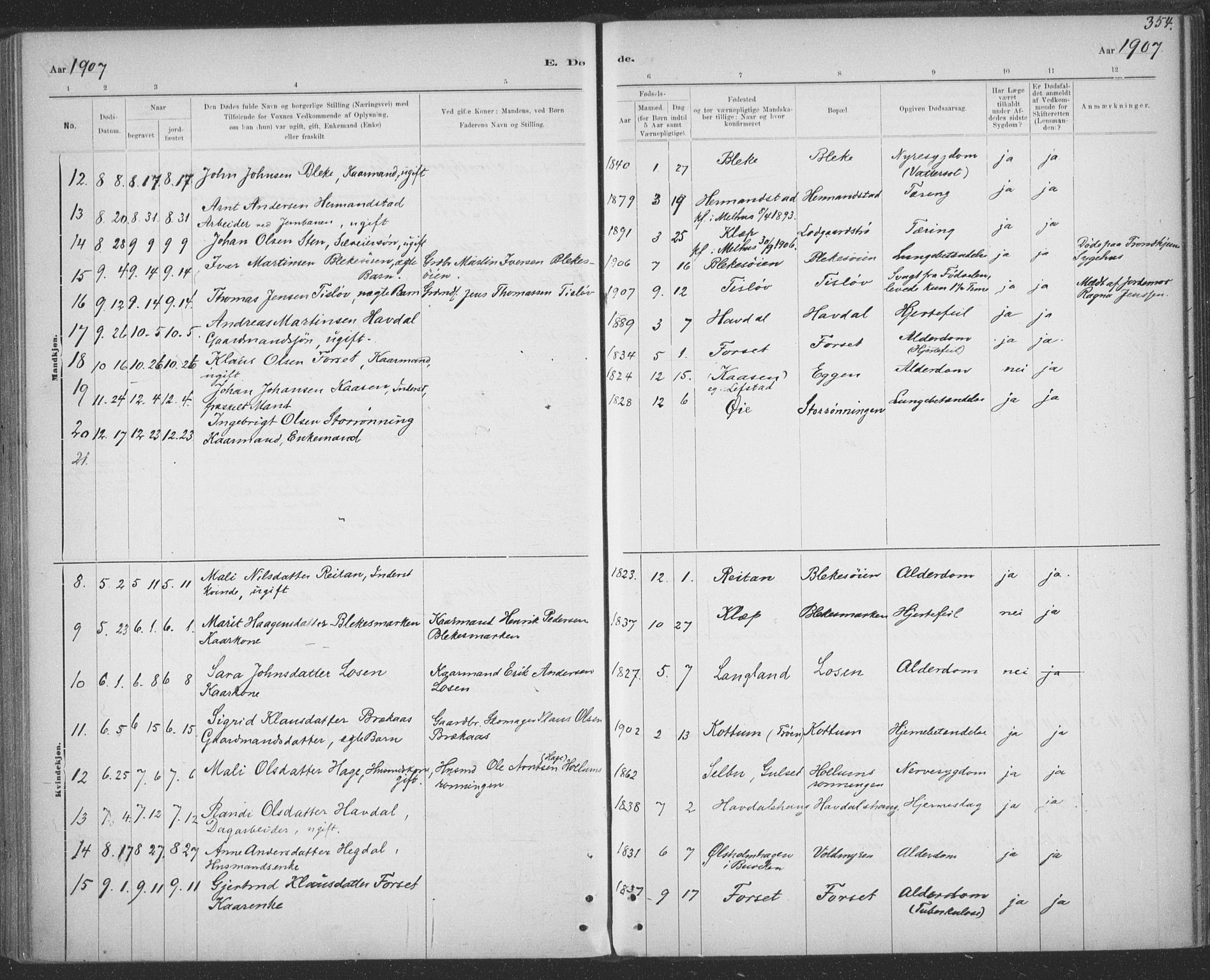 Ministerialprotokoller, klokkerbøker og fødselsregistre - Sør-Trøndelag, SAT/A-1456/691/L1085: Parish register (official) no. 691A17, 1887-1908, p. 354