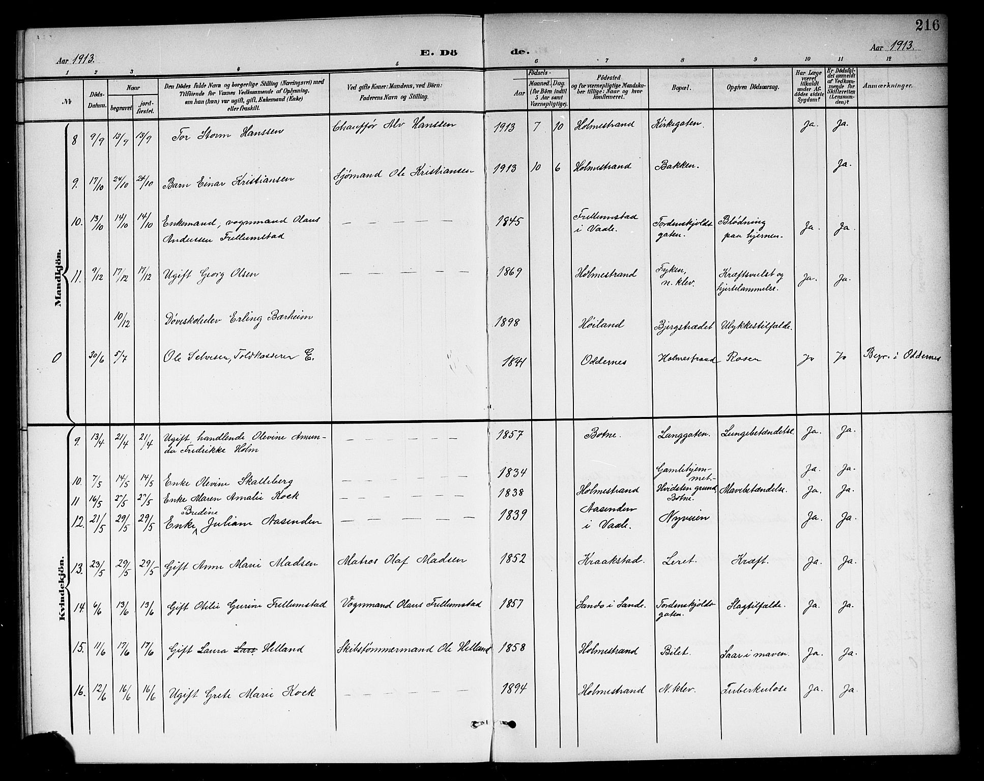 Holmestrand kirkebøker, AV/SAKO-A-346/G/Ga/L0006: Parish register (copy) no. 6, 1901-1923, p. 216