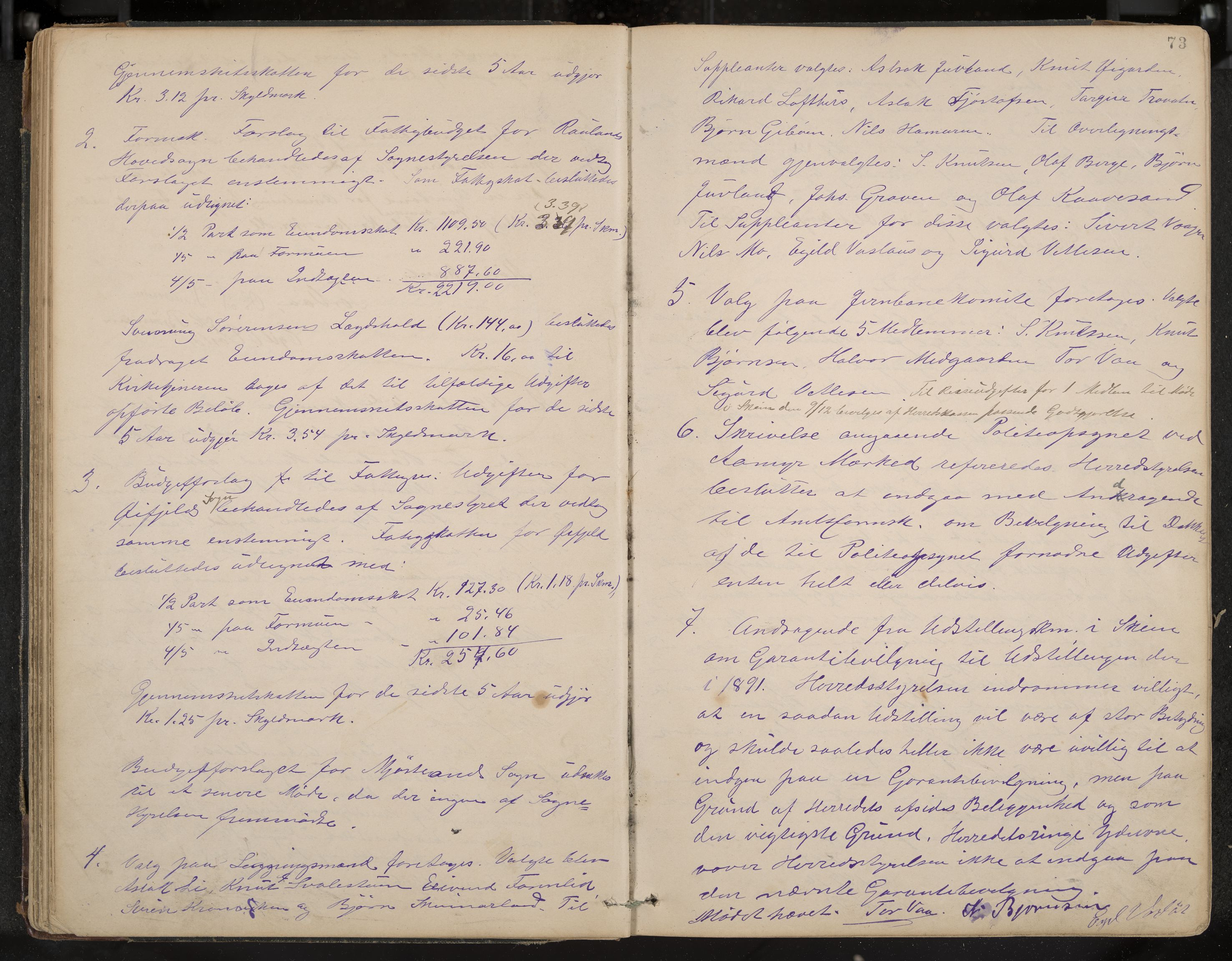 Rauland formannskap og sentraladministrasjon, IKAK/0835021/A/Aa/L0002: Møtebok, 1884-1908, p. 73