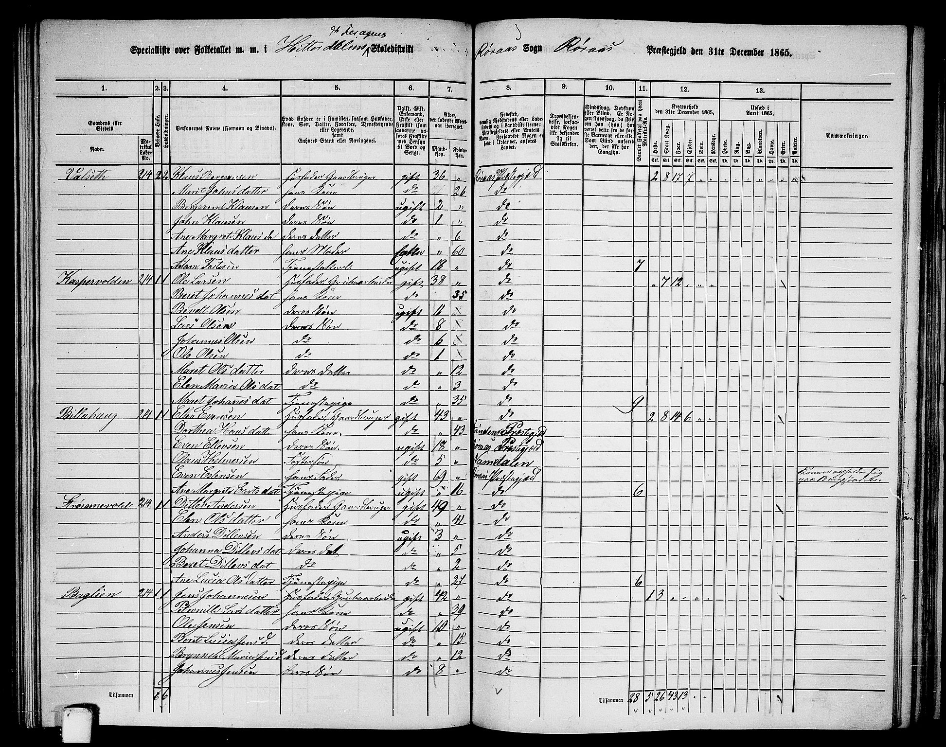 RA, 1865 census for Røros, 1865, p. 105