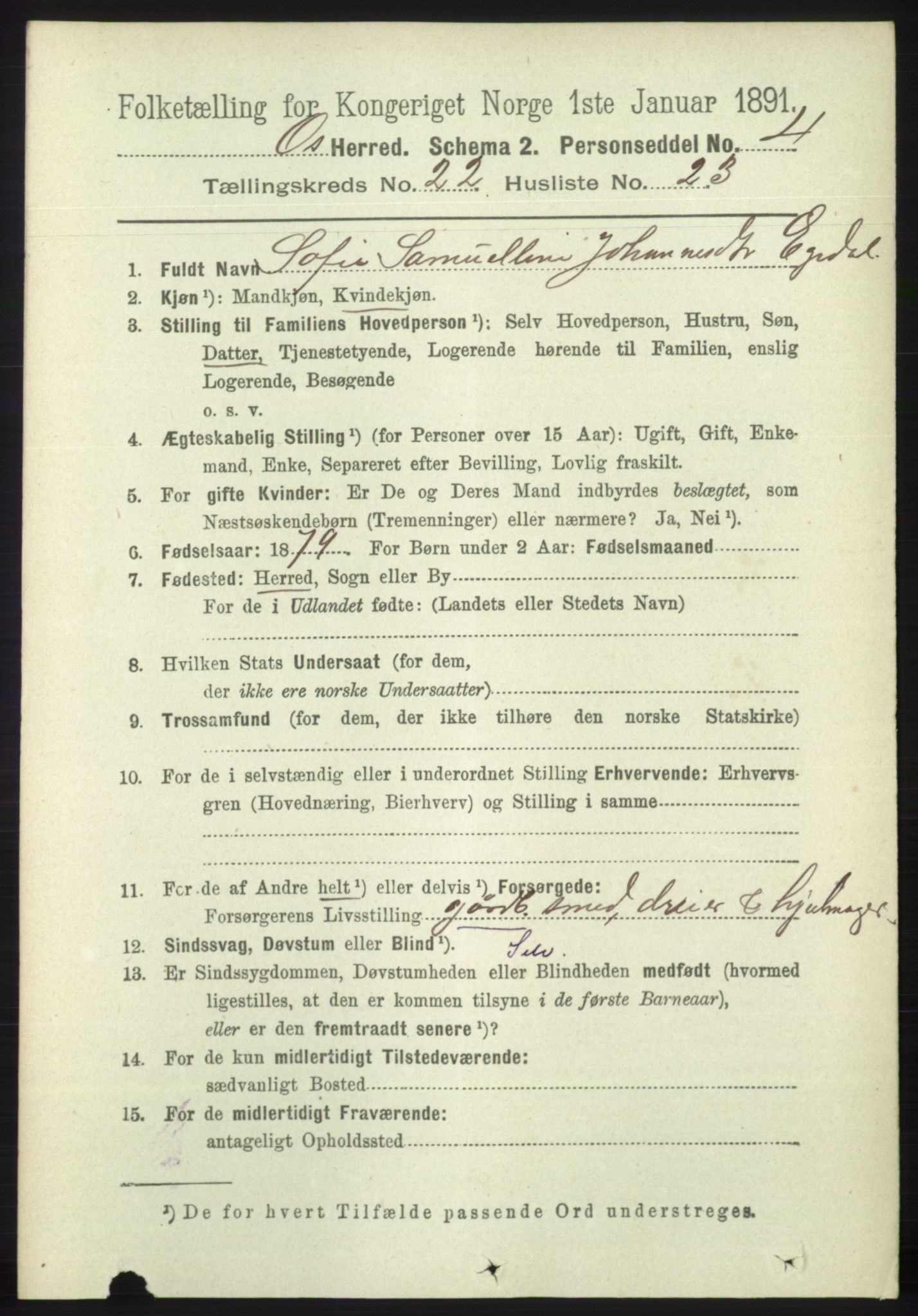 RA, 1891 census for 1243 Os, 1891, p. 5033