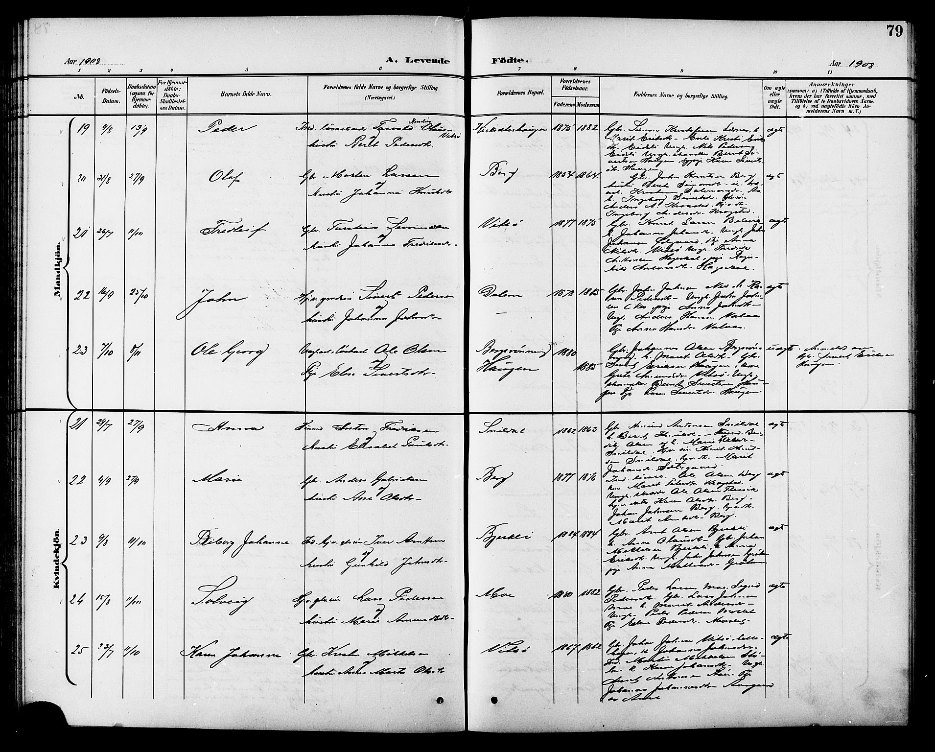 Ministerialprotokoller, klokkerbøker og fødselsregistre - Sør-Trøndelag, AV/SAT-A-1456/630/L0505: Parish register (copy) no. 630C03, 1899-1914, p. 79