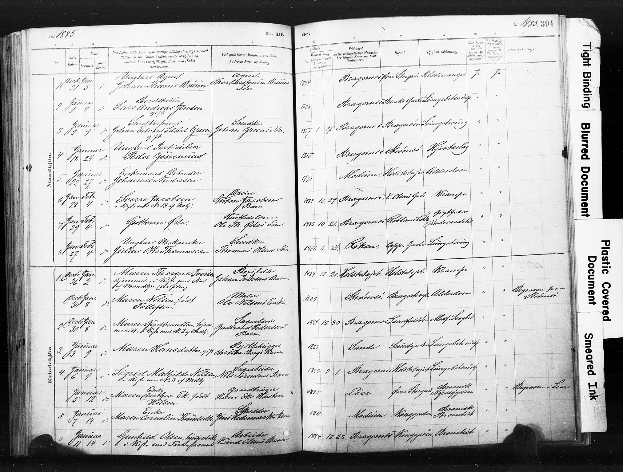 Bragernes kirkebøker, AV/SAKO-A-6/F/Fb/L0006b: Parish register (official) no. II 6B, 1878-1885, p. 394