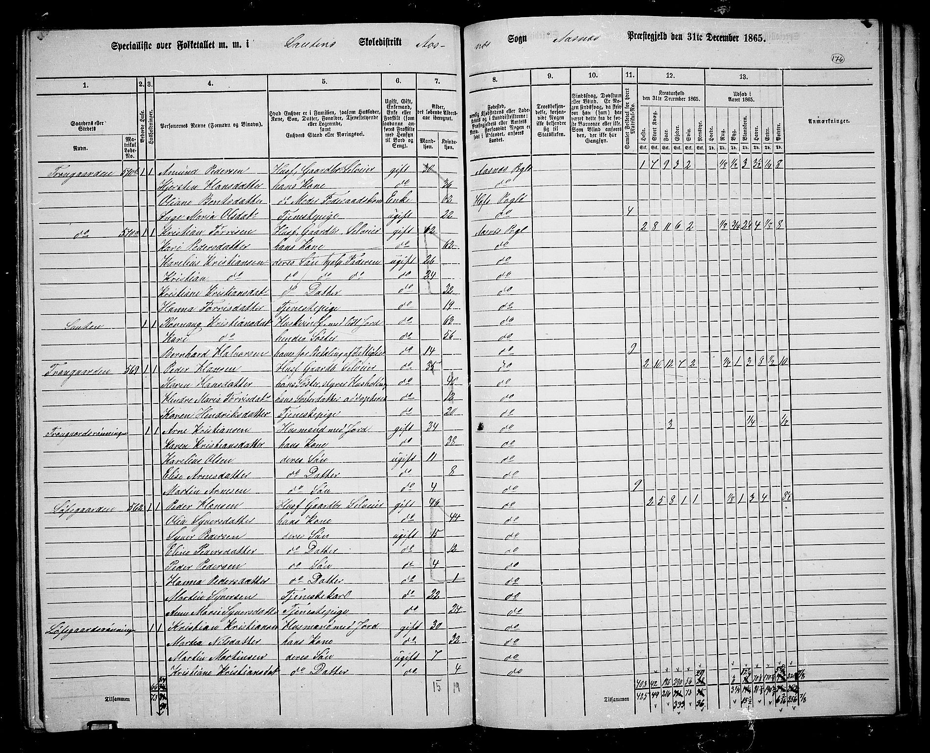 RA, 1865 census for Åsnes, 1865, p. 164