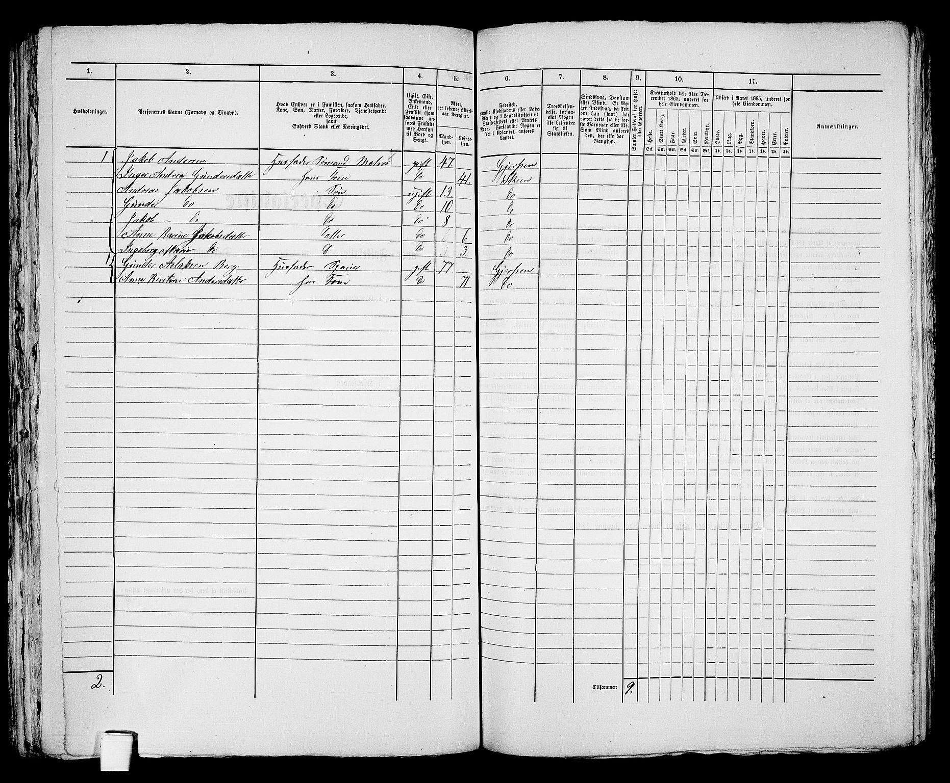 RA, 1865 census for Skien, 1865, p. 1036