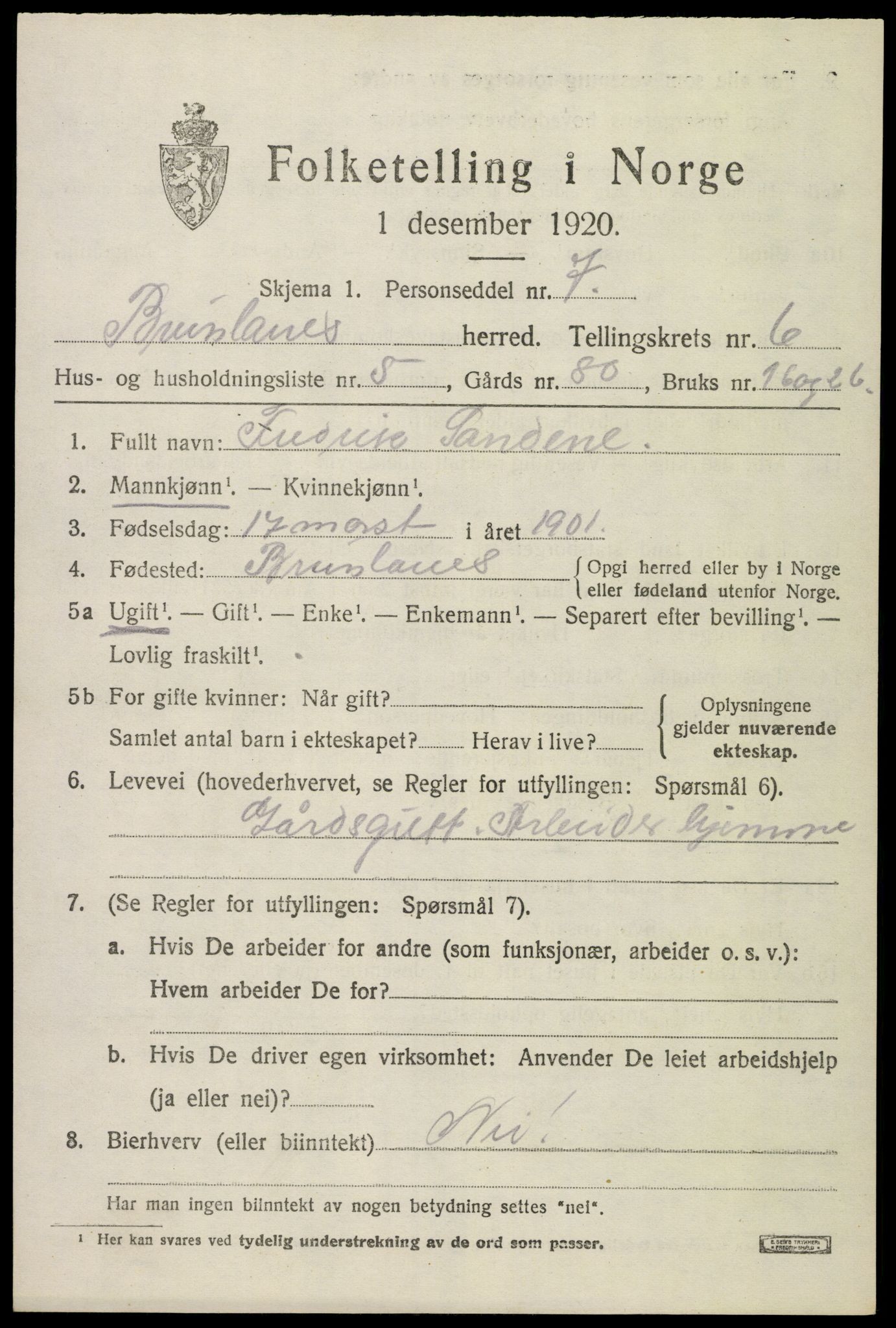 SAKO, 1920 census for Brunlanes, 1920, p. 6823