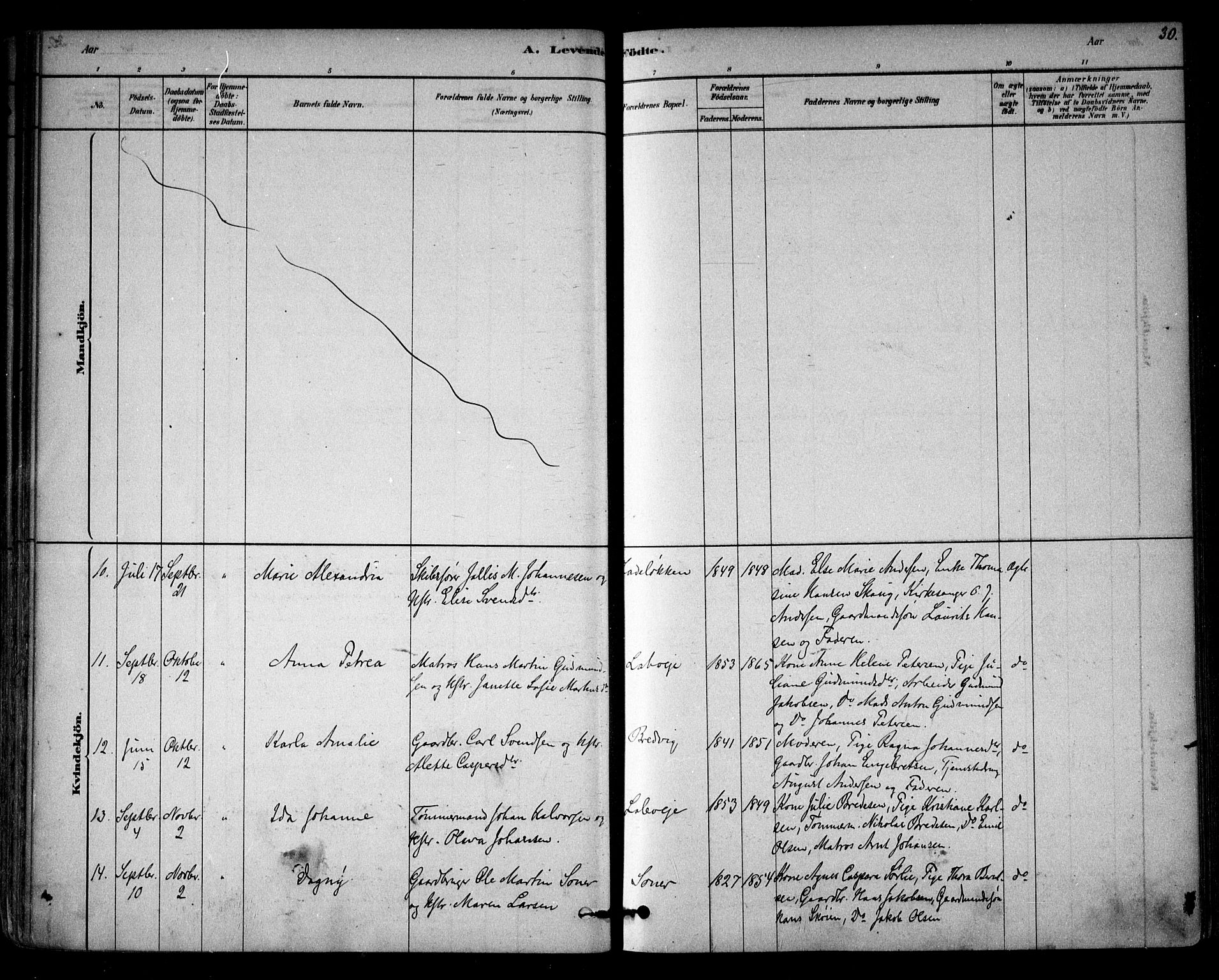 Vestby prestekontor Kirkebøker, AV/SAO-A-10893/F/Fb/L0001: Parish register (official) no. II 1, 1878-1903, p. 30