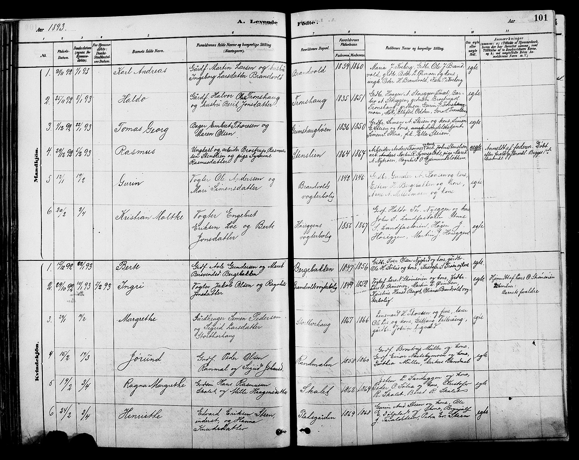 Alvdal prestekontor, SAH/PREST-060/H/Ha/Hab/L0003: Parish register (copy) no. 3, 1878-1907, p. 101