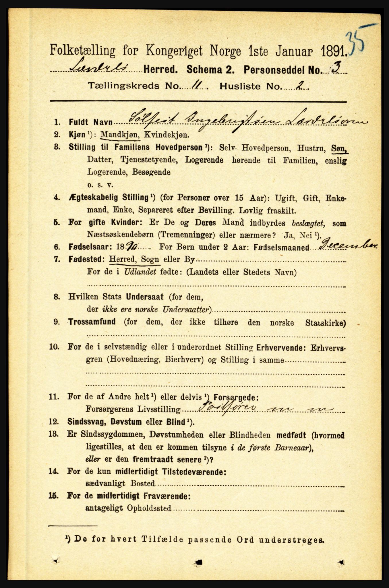 RA, 1891 census for 1422 Lærdal, 1891, p. 2169