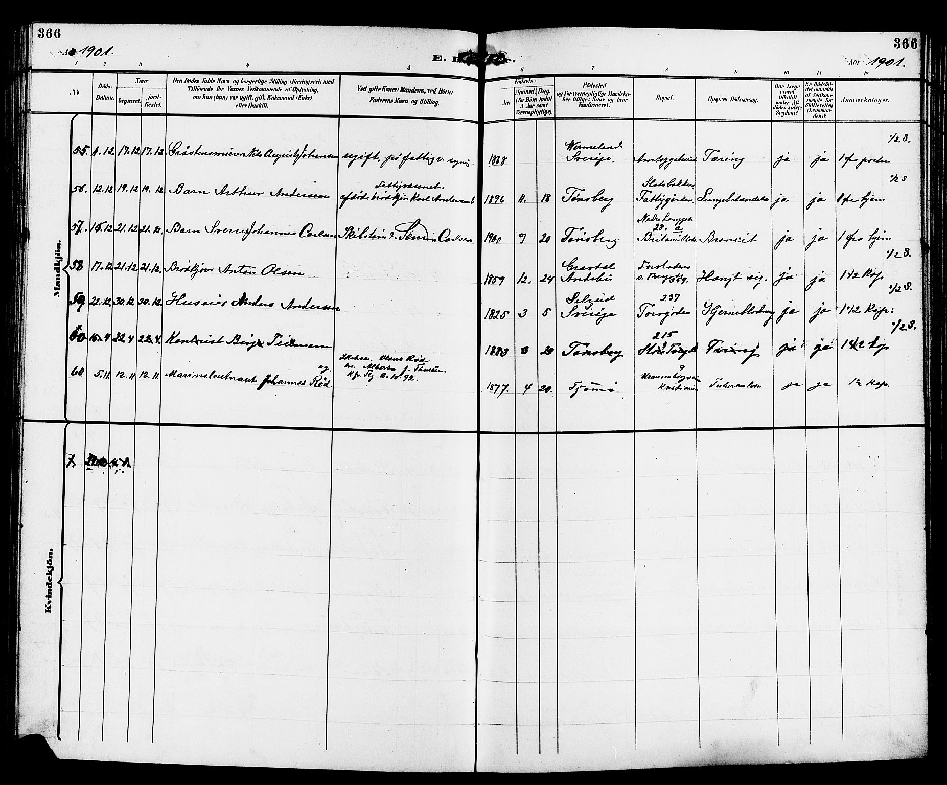 Tønsberg kirkebøker, AV/SAKO-A-330/G/Ga/L0007: Parish register (copy) no. 7, 1896-1904, p. 366