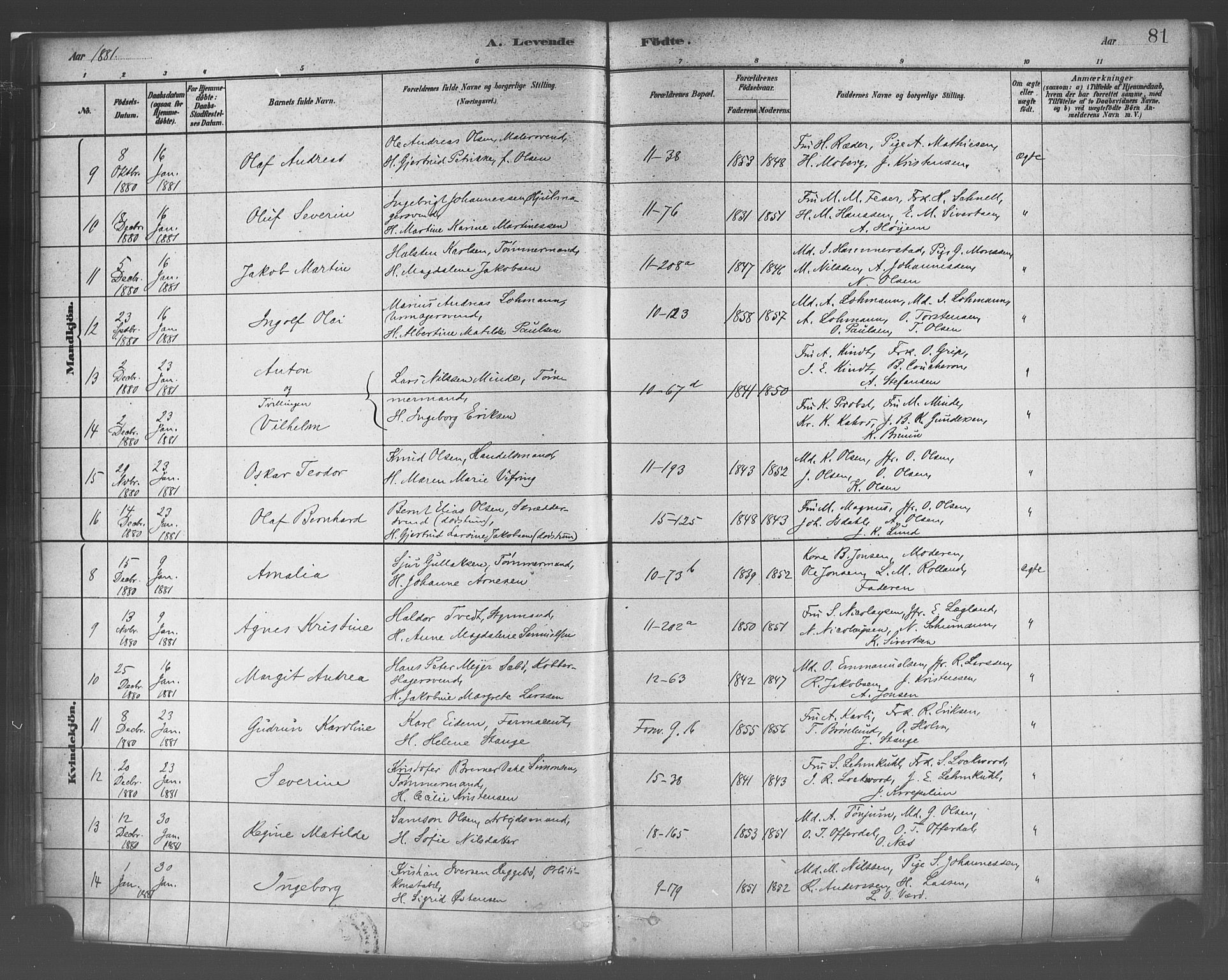 Domkirken sokneprestembete, SAB/A-74801/H/Haa/L0023: Parish register (official) no. B 6, 1879-1887, p. 81