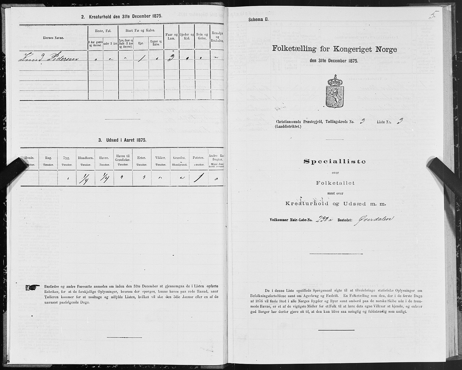 SAT, 1875 census for 1556L Kristiansund/Frei og Grip, 1875, p. 2005