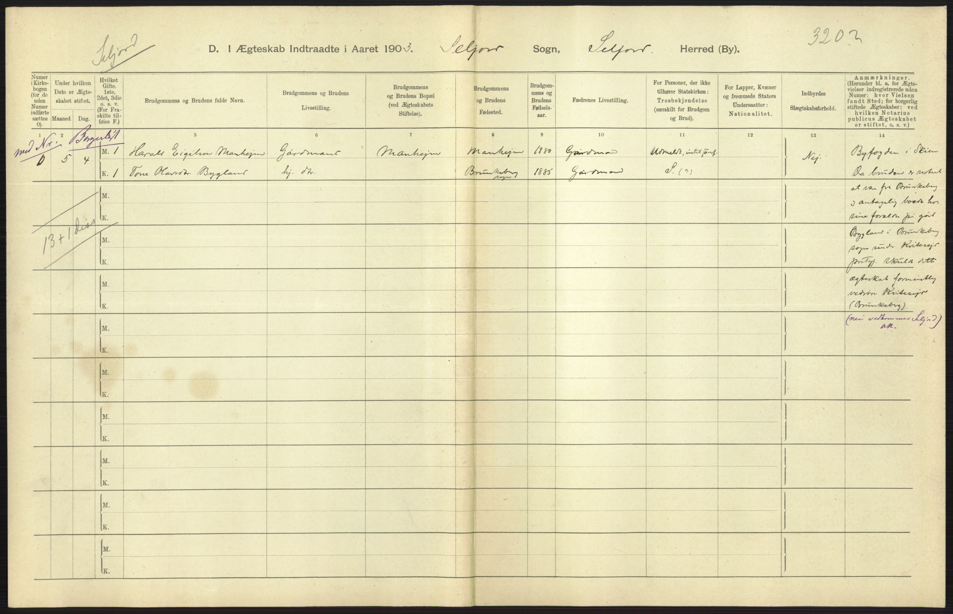 Statistisk sentralbyrå, Sosiodemografiske emner, Befolkning, AV/RA-S-2228/D/Df/Dfa/Dfaa/L0009: Bratsberg amt: Fødte, gifte, døde, 1903, p. 383