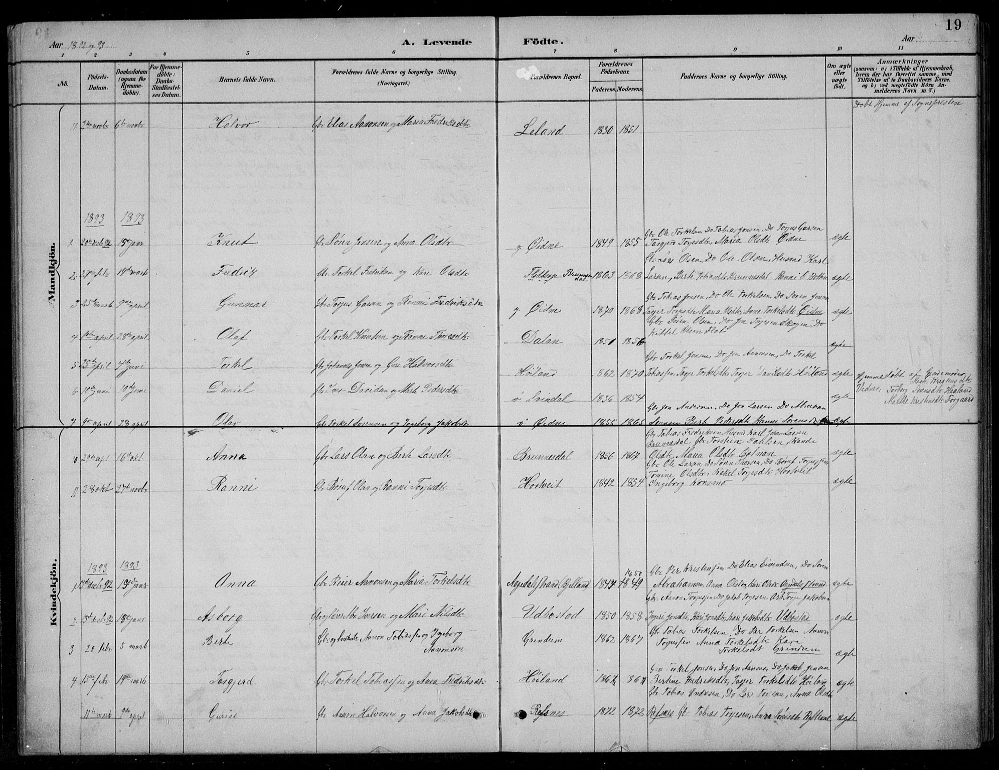 Bjelland sokneprestkontor, SAK/1111-0005/F/Fb/Fbc/L0003: Parish register (copy) no. B 3, 1887-1924, p. 19