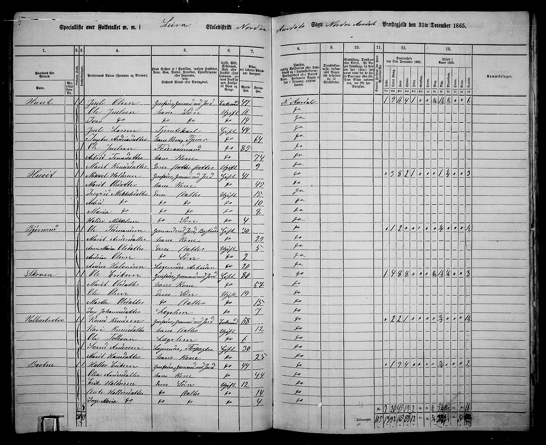 RA, 1865 census for Nord-Aurdal, 1865, p. 160