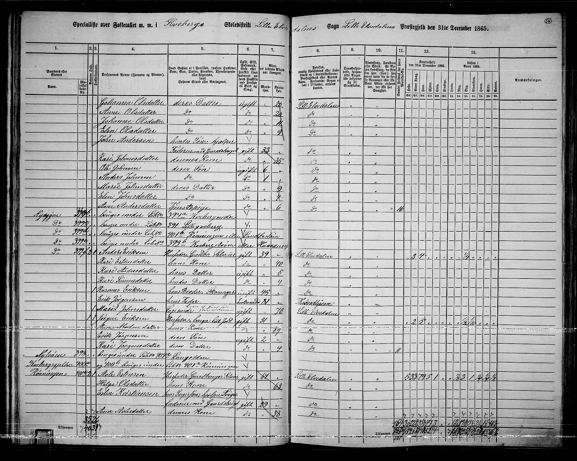 RA, 1865 census for Lille Elvedalen, 1865, p. 49