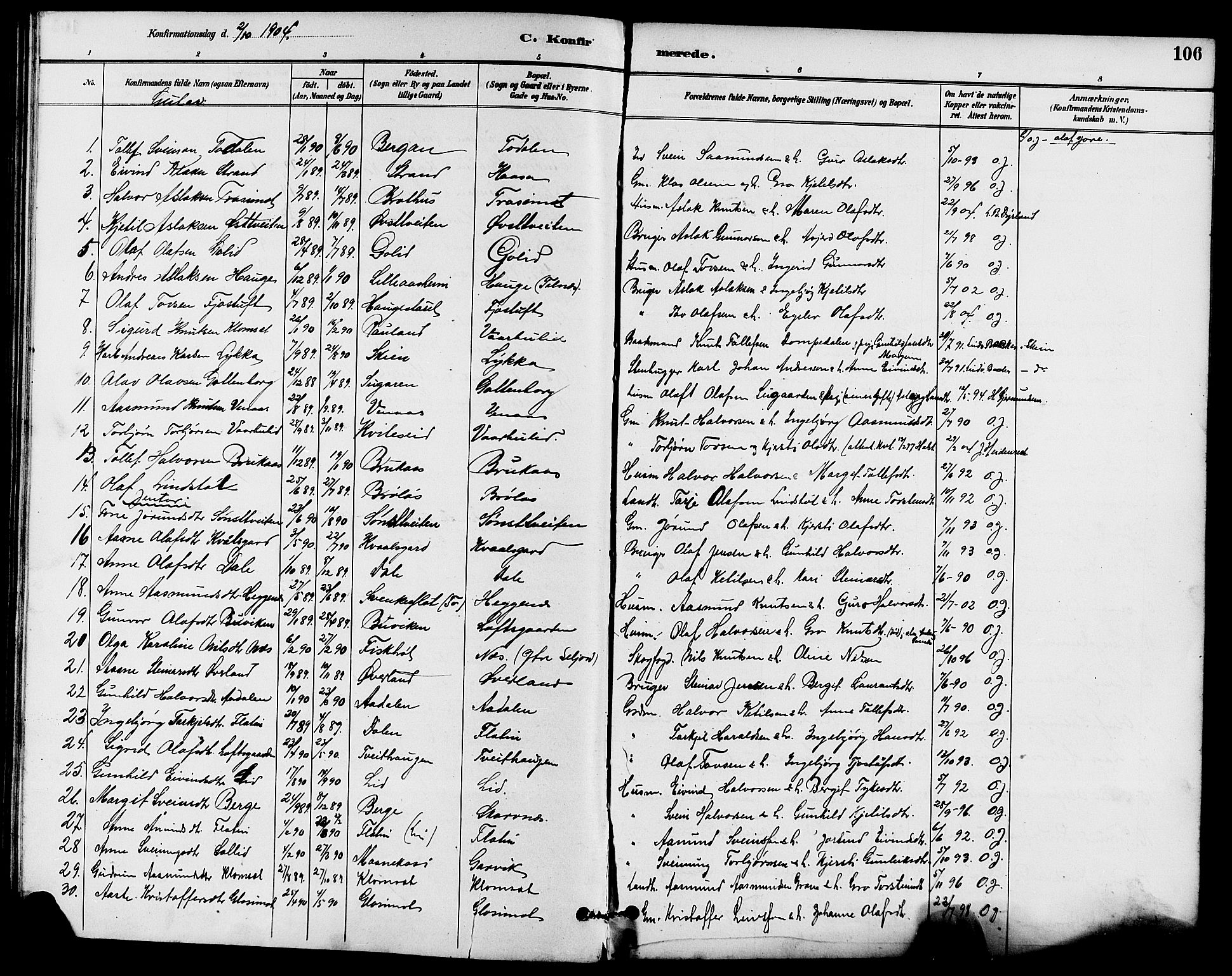 Seljord kirkebøker, SAKO/A-20/G/Ga/L0005: Parish register (copy) no. I 5, 1887-1914, p. 106