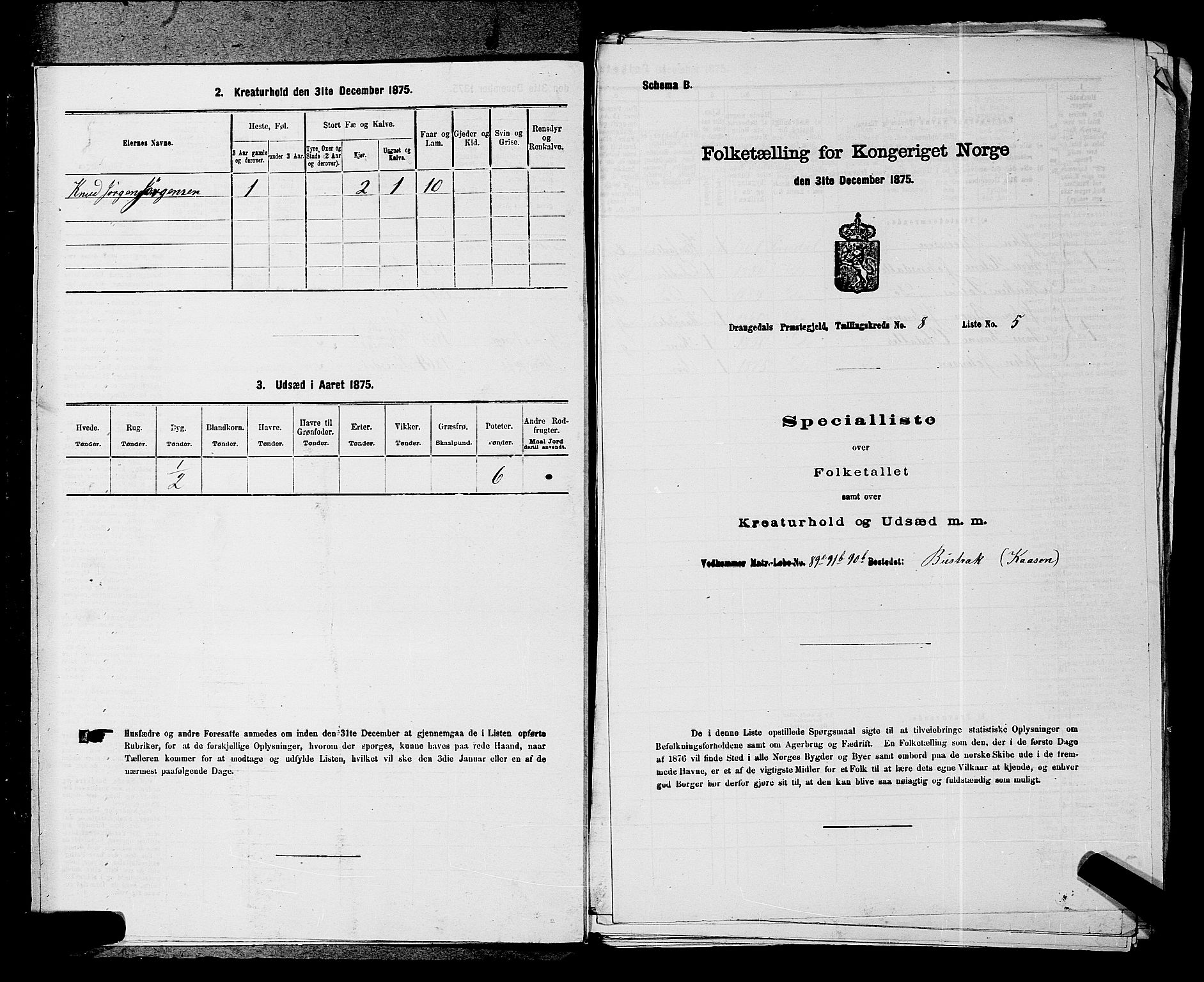 SAKO, 1875 census for 0817P Drangedal, 1875, p. 770