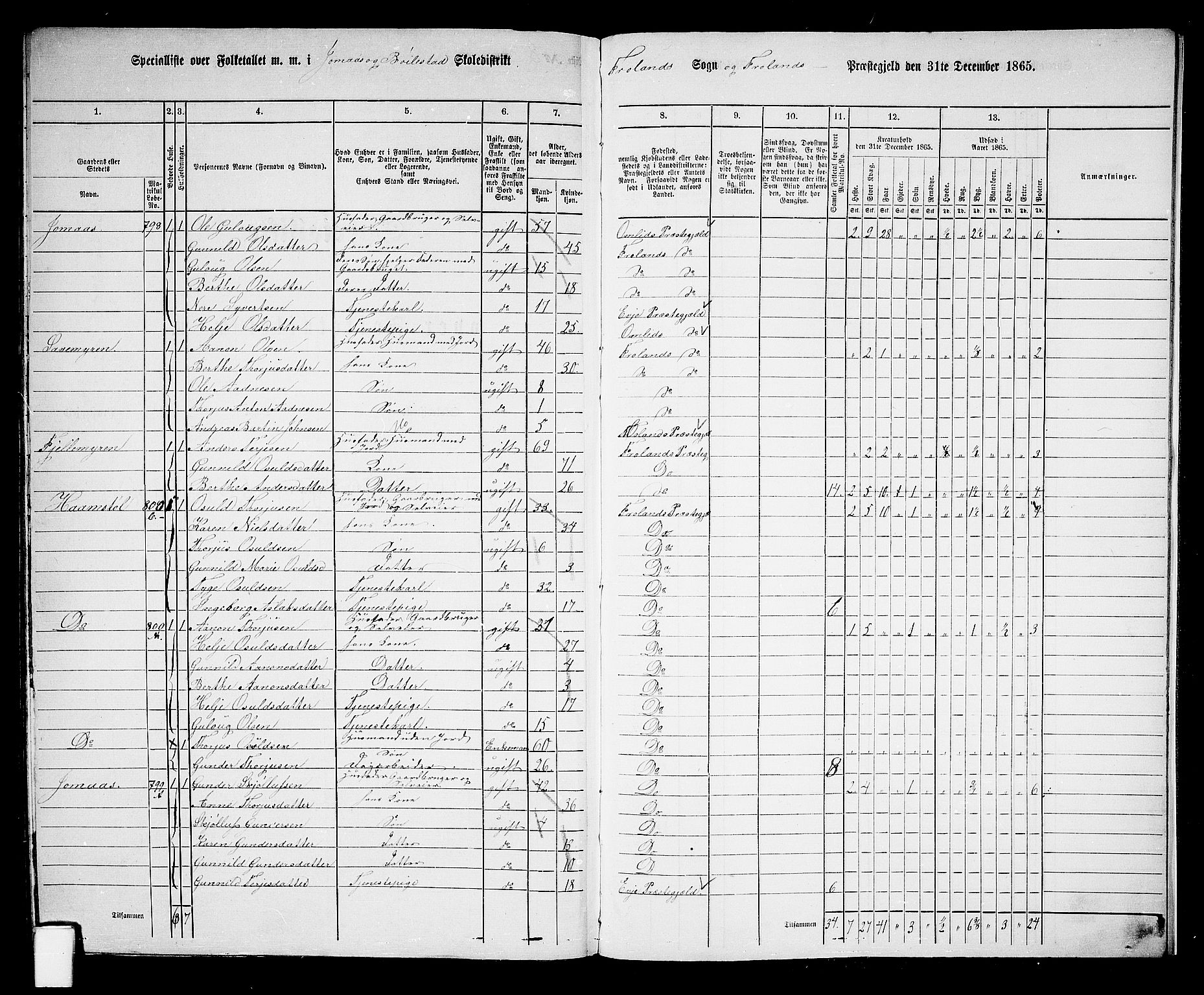 RA, 1865 census for Froland, 1865, p. 91