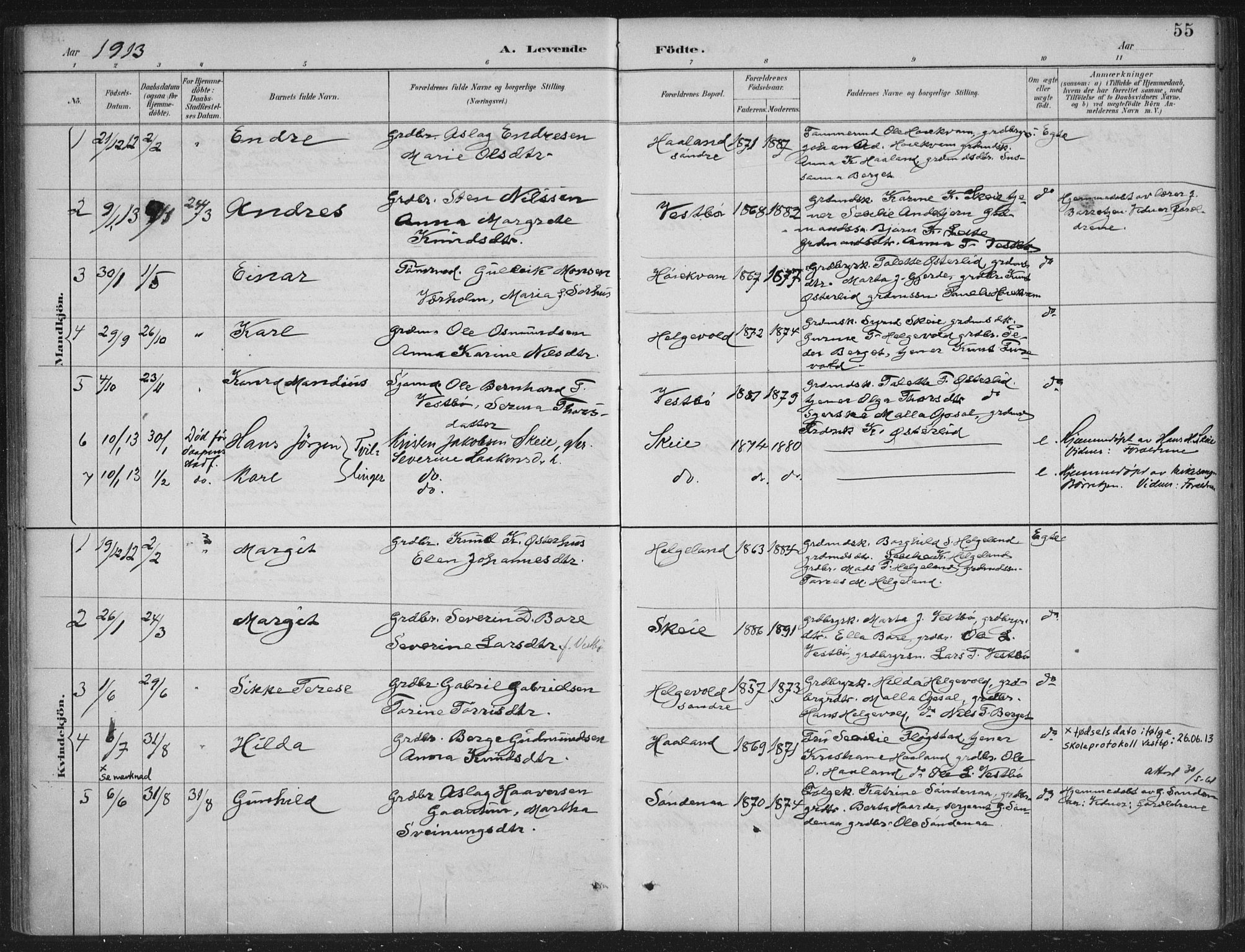 Vikedal sokneprestkontor, AV/SAST-A-101840/01/IV: Parish register (official) no. A 11, 1884-1933, p. 55