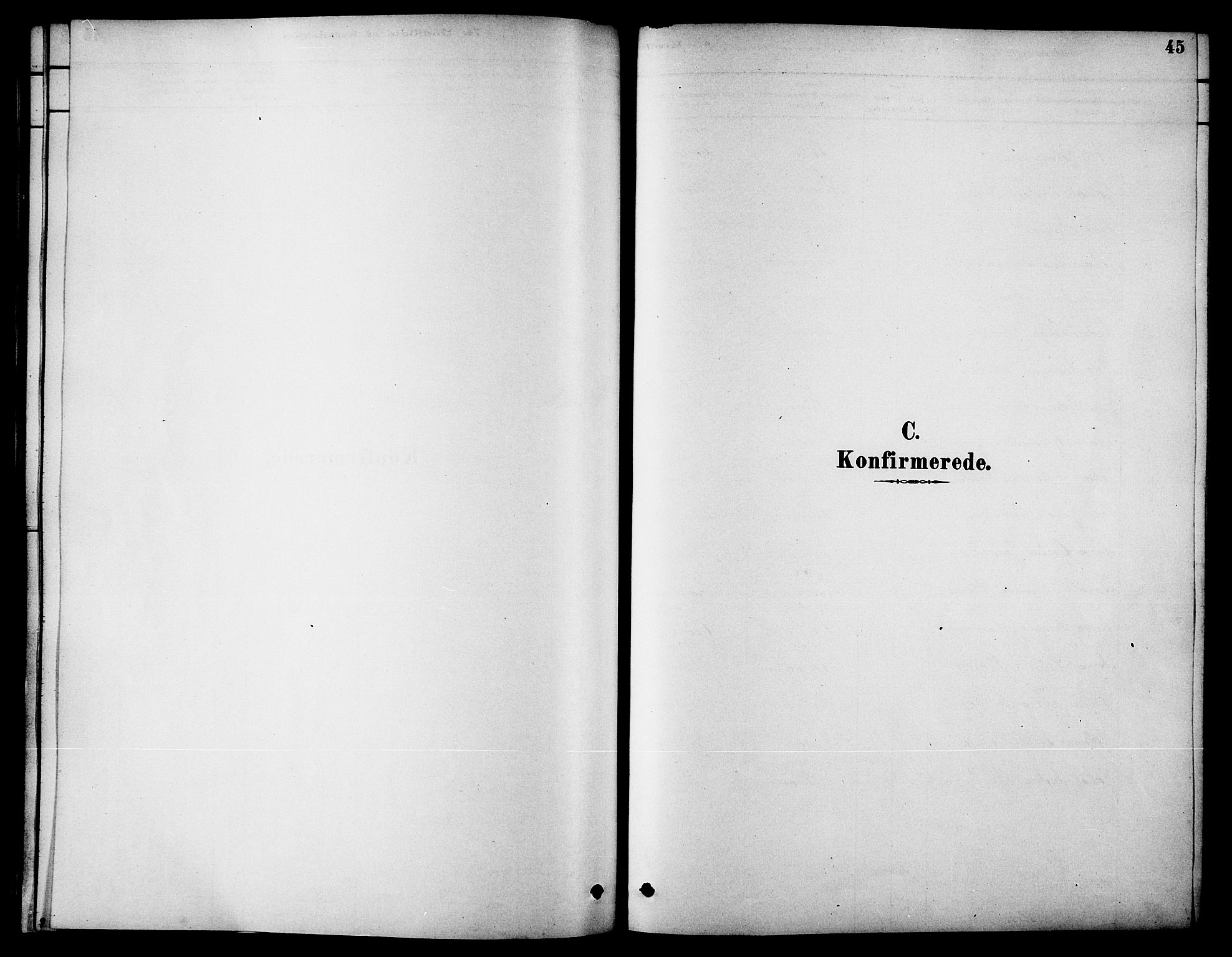 Ministerialprotokoller, klokkerbøker og fødselsregistre - Nordland, AV/SAT-A-1459/826/L0379: Parish register (official) no. 826A02, 1878-1895, p. 45