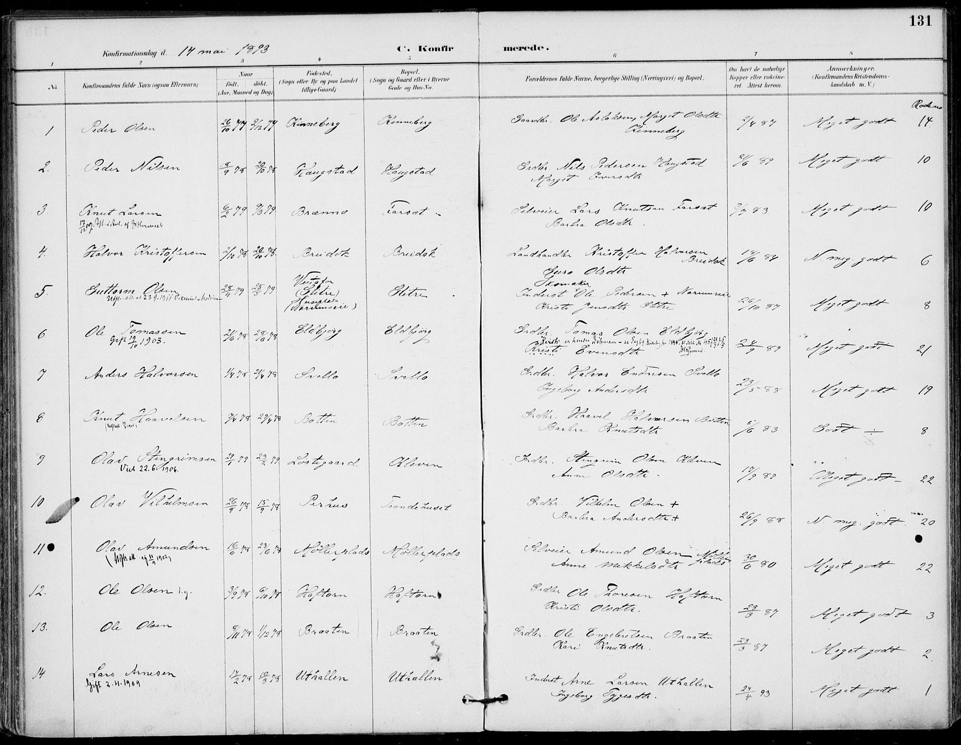 Gol kirkebøker, SAKO/A-226/F/Fa/L0005: Parish register (official) no. I 5, 1887-1900, p. 131