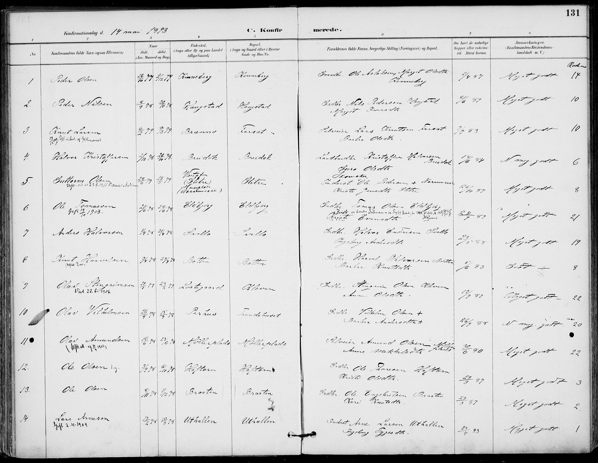 Gol kirkebøker, AV/SAKO-A-226/F/Fa/L0005: Parish register (official) no. I 5, 1887-1900, p. 131