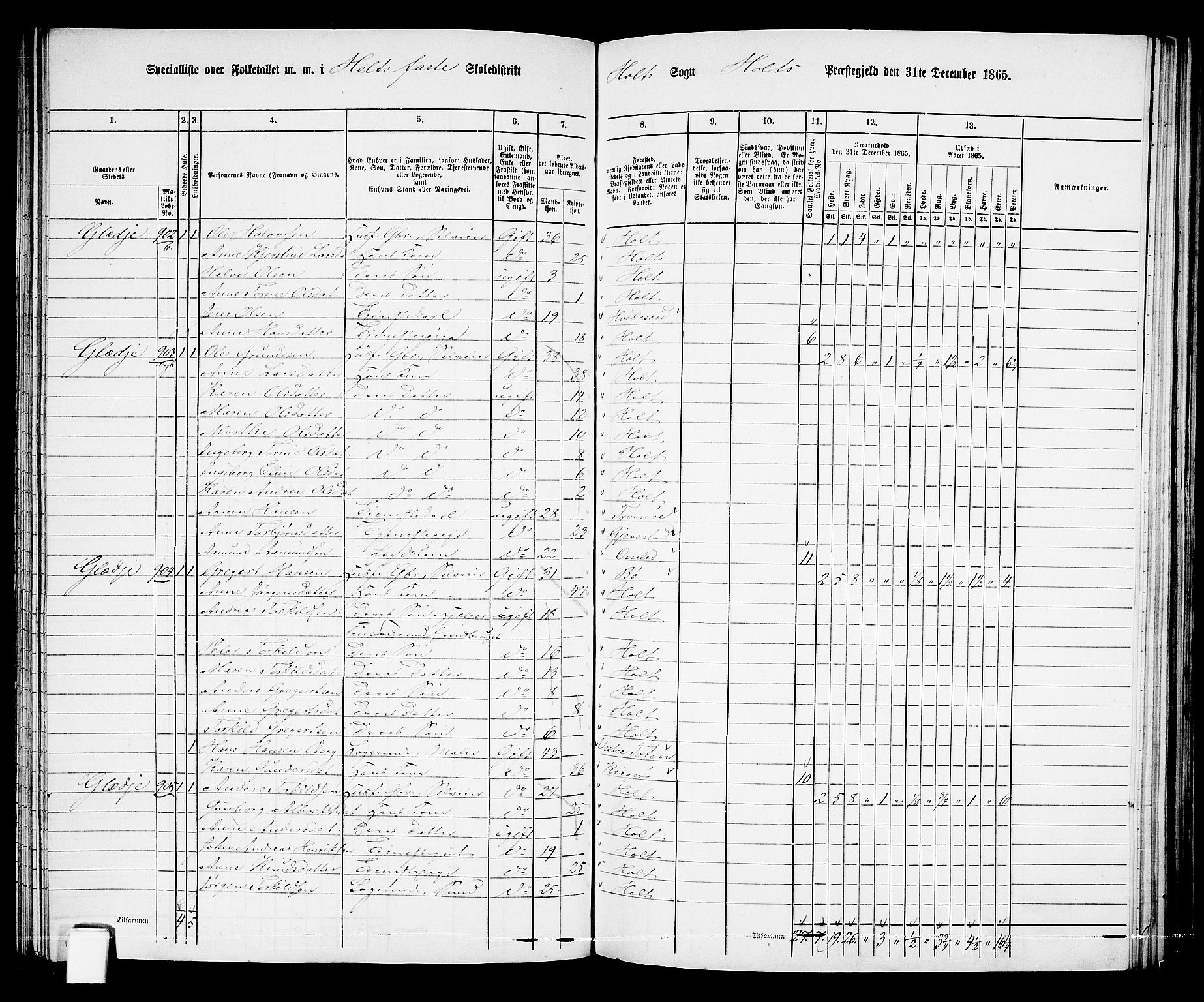 RA, 1865 census for Holt/Holt, 1865, p. 96