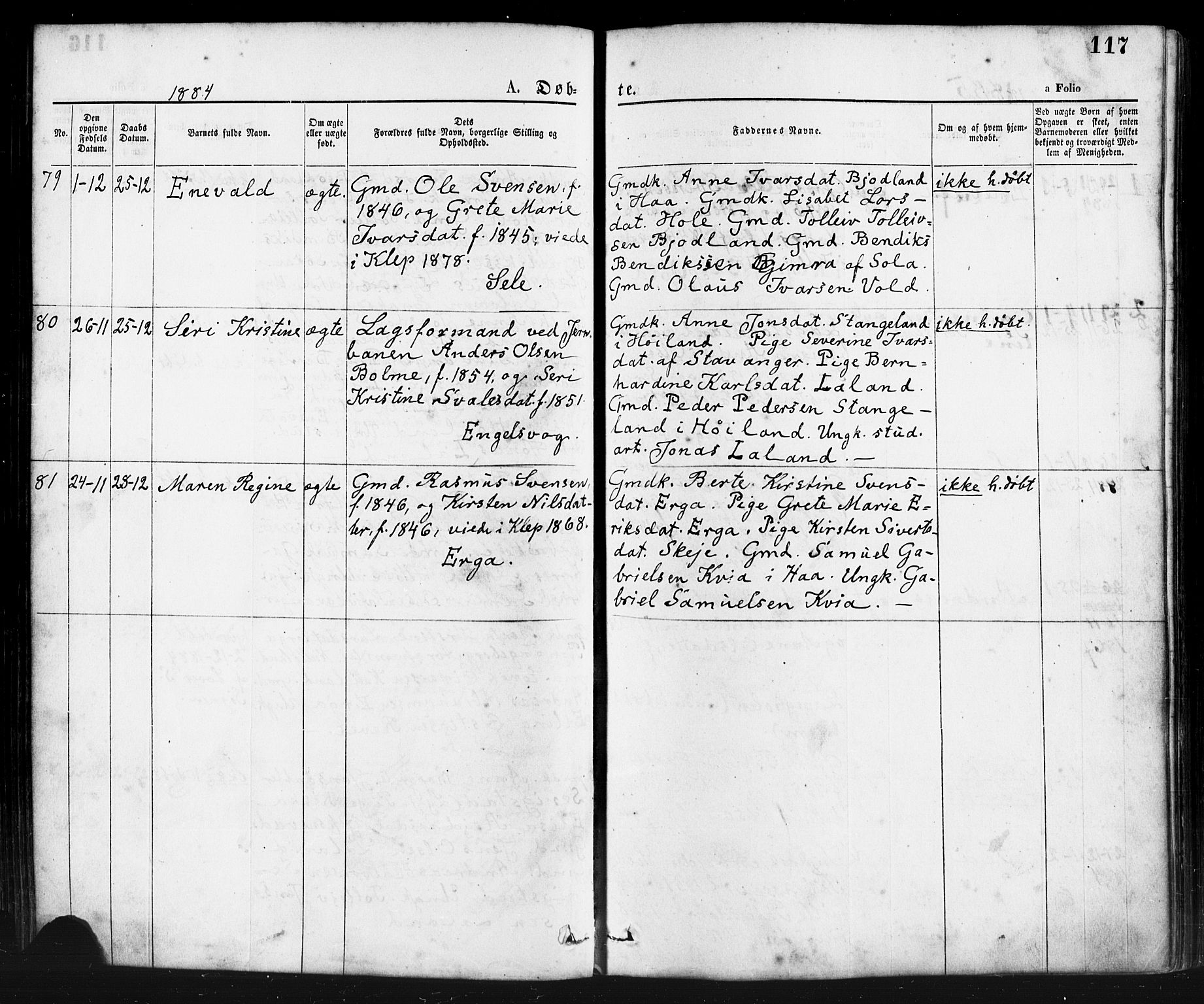 Klepp sokneprestkontor, SAST/A-101803/001/3/30BA/L0006: Parish register (official) no. A 6, 1871-1885, p. 117