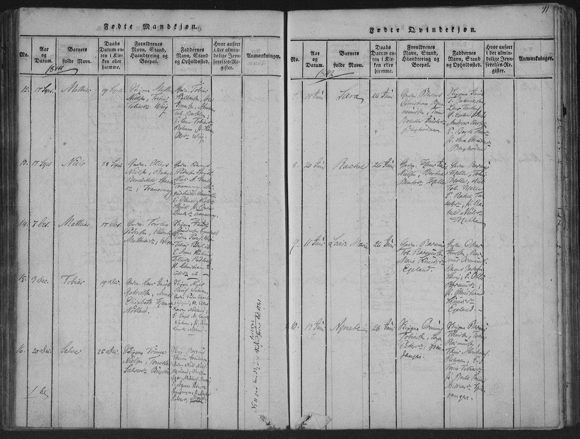 Herad sokneprestkontor, AV/SAK-1111-0018/F/Fa/Fab/L0002: Parish register (official) no. A 2, 1816-1844, p. 91