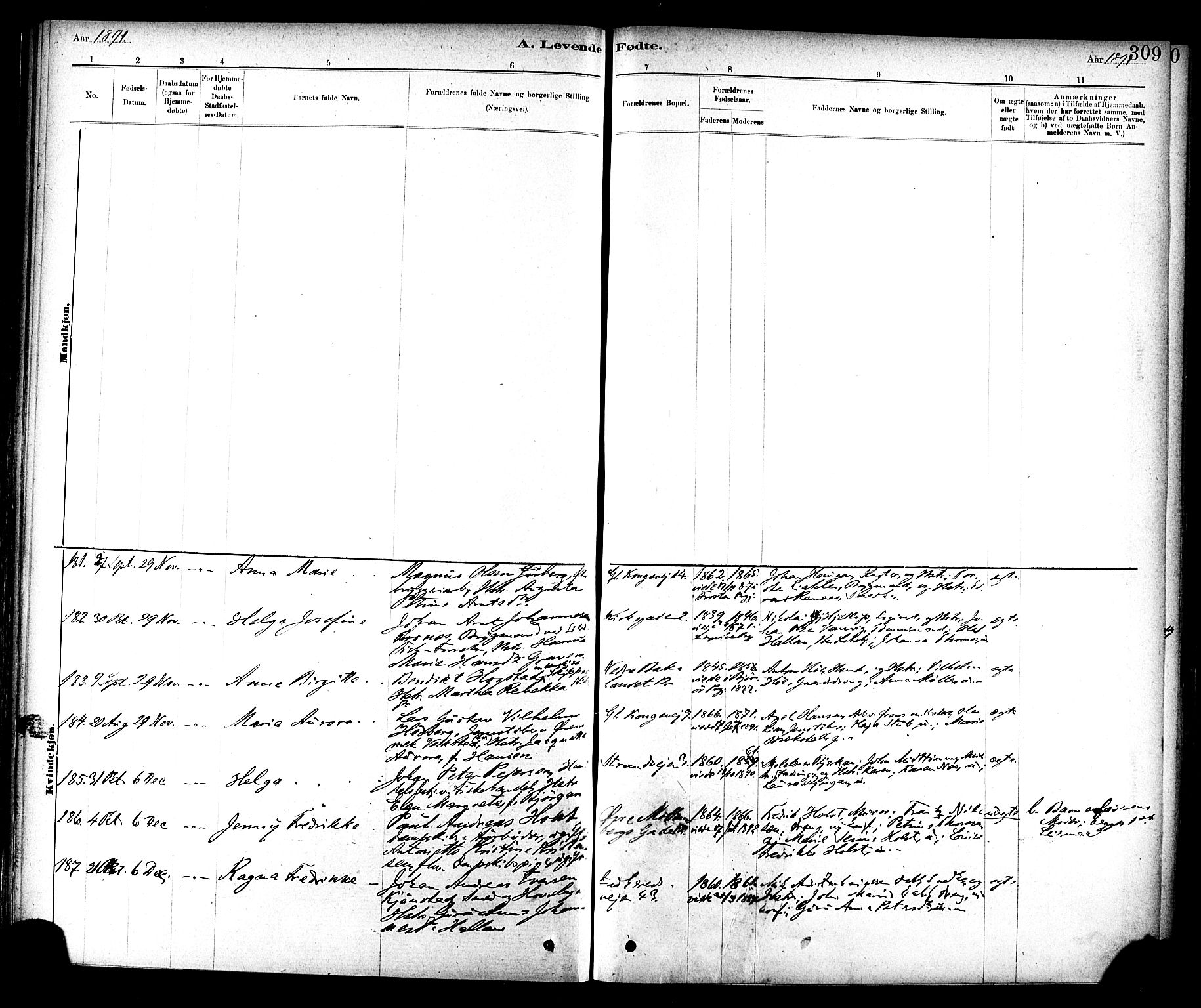 Ministerialprotokoller, klokkerbøker og fødselsregistre - Sør-Trøndelag, AV/SAT-A-1456/604/L0188: Parish register (official) no. 604A09, 1878-1892, p. 309