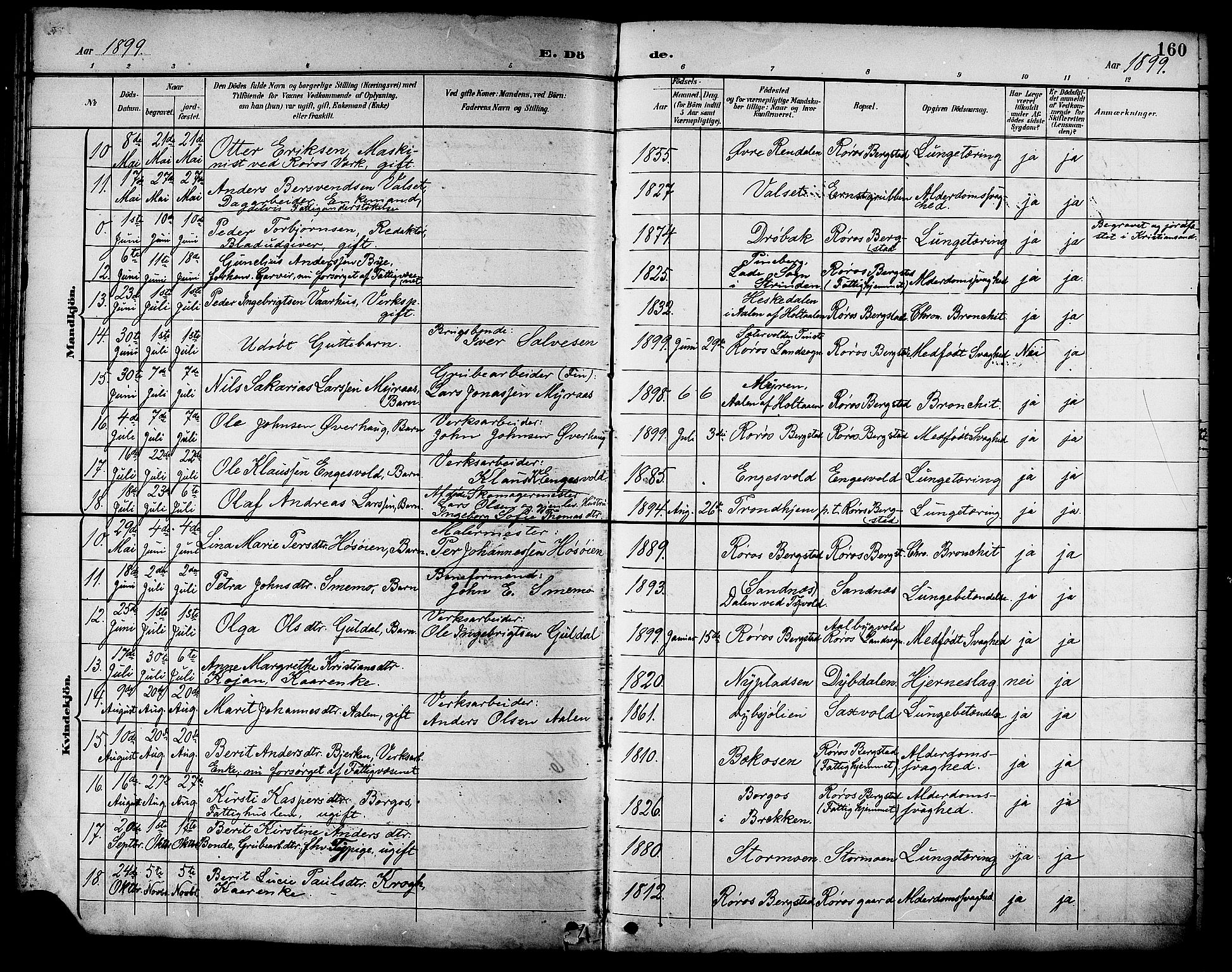 Ministerialprotokoller, klokkerbøker og fødselsregistre - Sør-Trøndelag, SAT/A-1456/681/L0941: Parish register (copy) no. 681C05, 1896-1905, p. 160