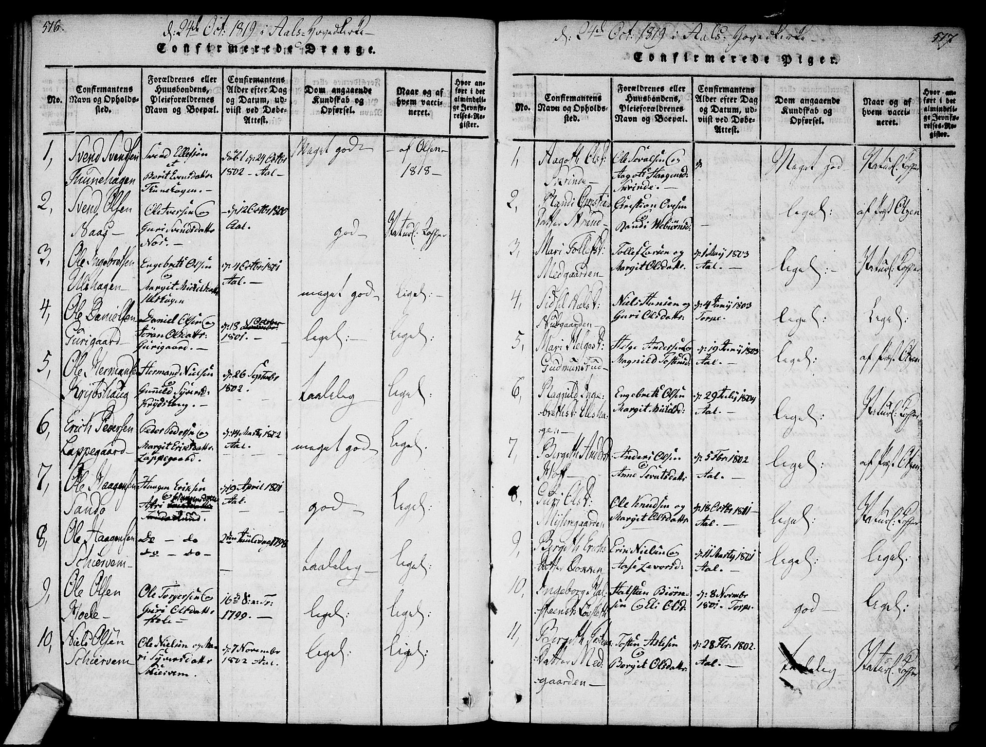 Ål kirkebøker, AV/SAKO-A-249/F/Fa/L0004: Parish register (official) no. I 4, 1815-1825, p. 516-517
