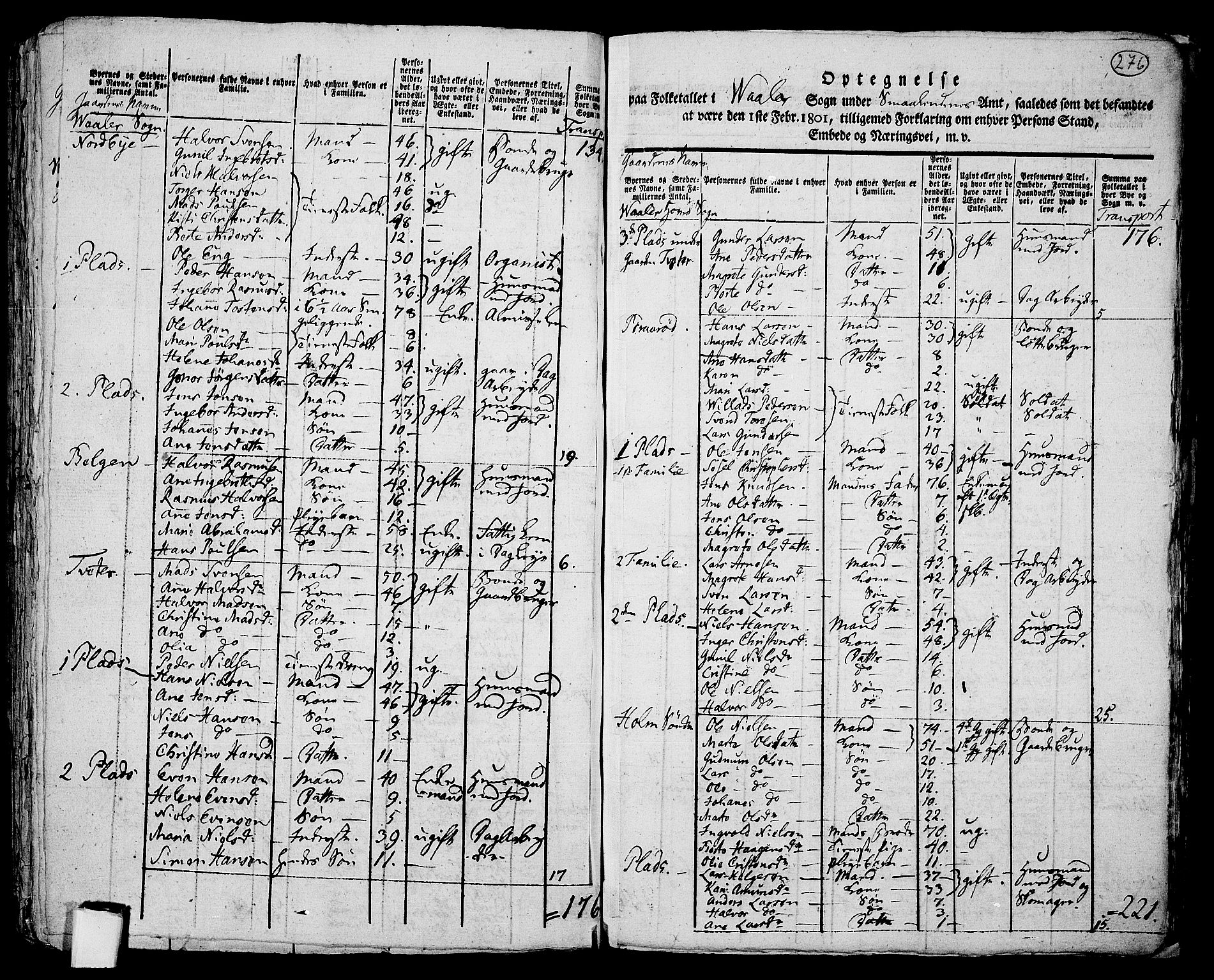 RA, 1801 census for 0137P Våler, 1801, p. 275b-276a