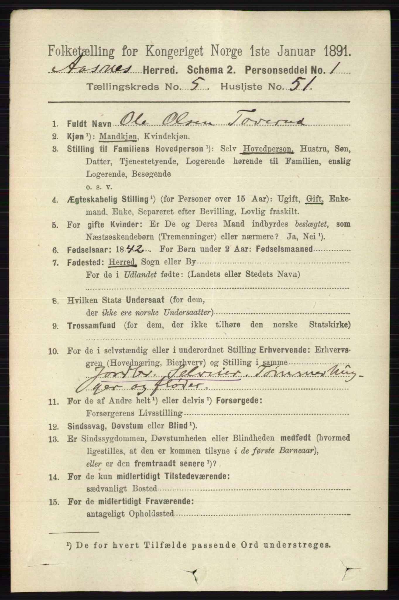 RA, 1891 census for 0425 Åsnes, 1891, p. 2702