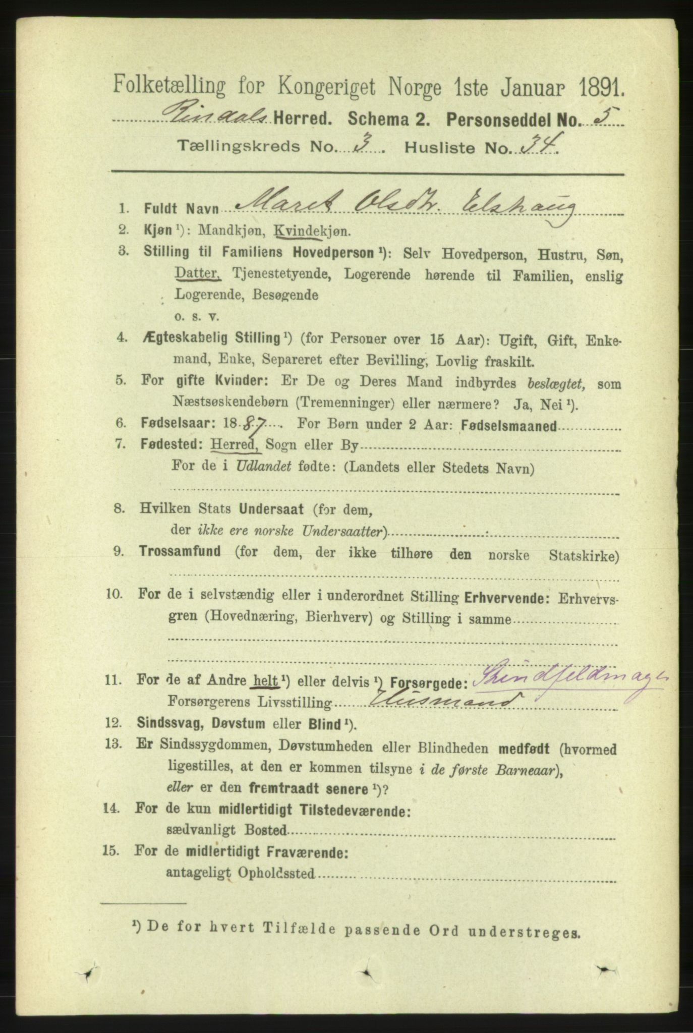 RA, 1891 census for 1567 Rindal, 1891, p. 916