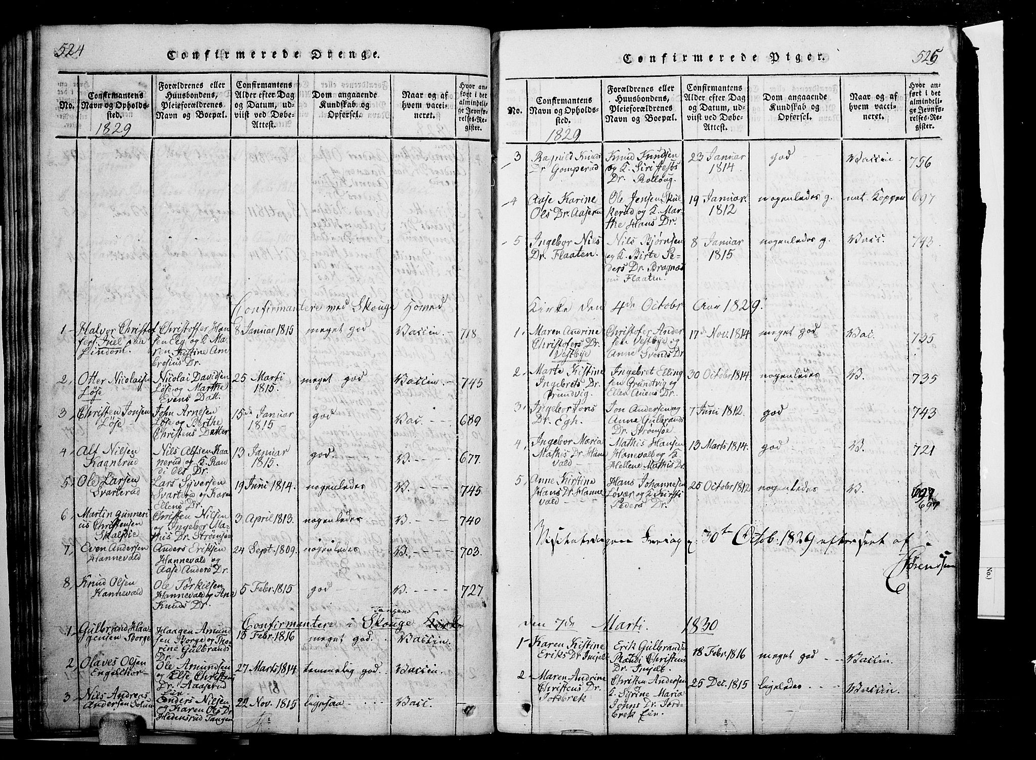 Skoger kirkebøker, SAKO/A-59/G/Ga/L0001: Parish register (copy) no. I 1, 1814-1845, p. 524-525