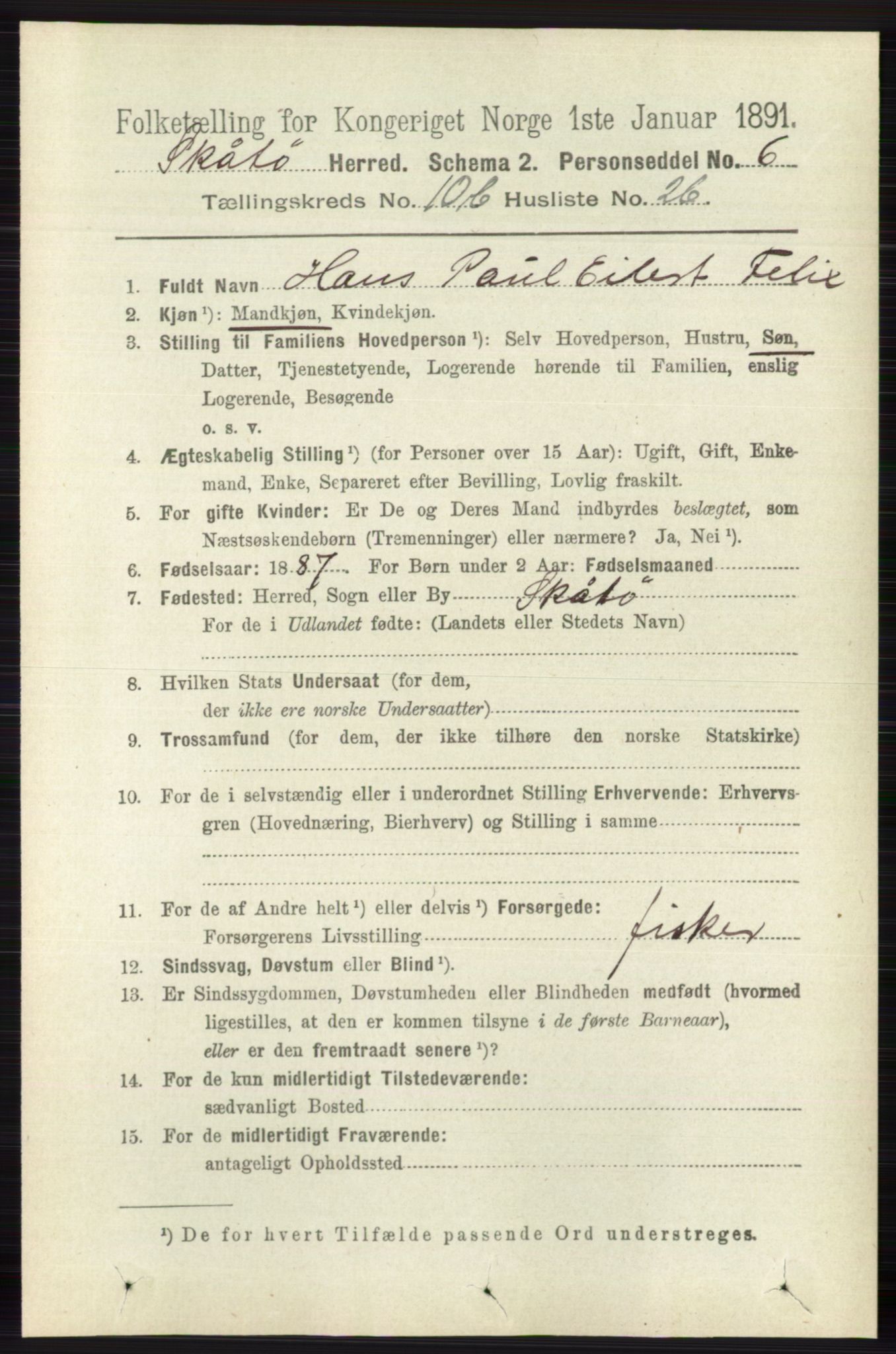 RA, 1891 census for 0815 Skåtøy, 1891, p. 4198