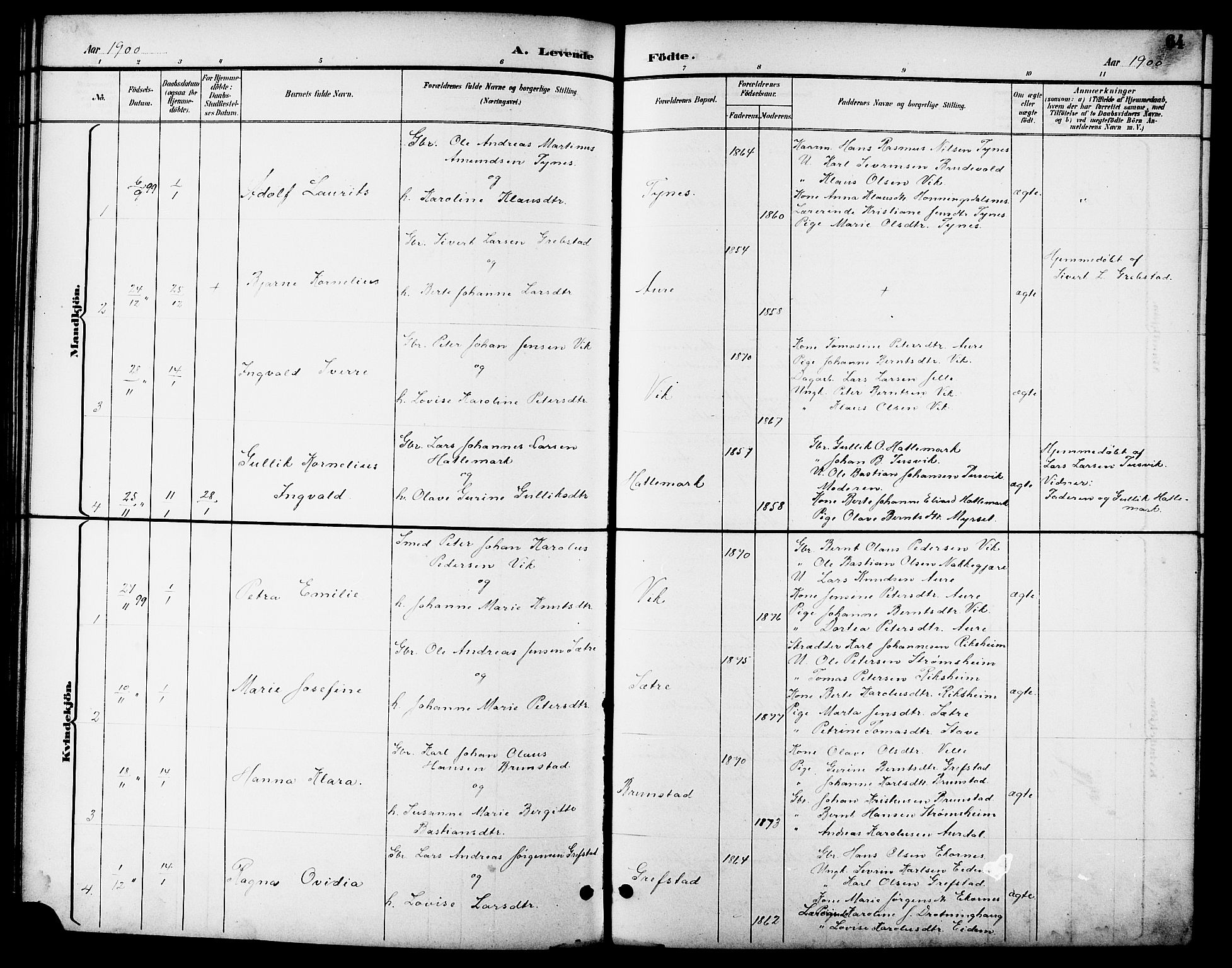 Ministerialprotokoller, klokkerbøker og fødselsregistre - Møre og Romsdal, AV/SAT-A-1454/523/L0340: Parish register (copy) no. 523C03, 1892-1902, p. 64