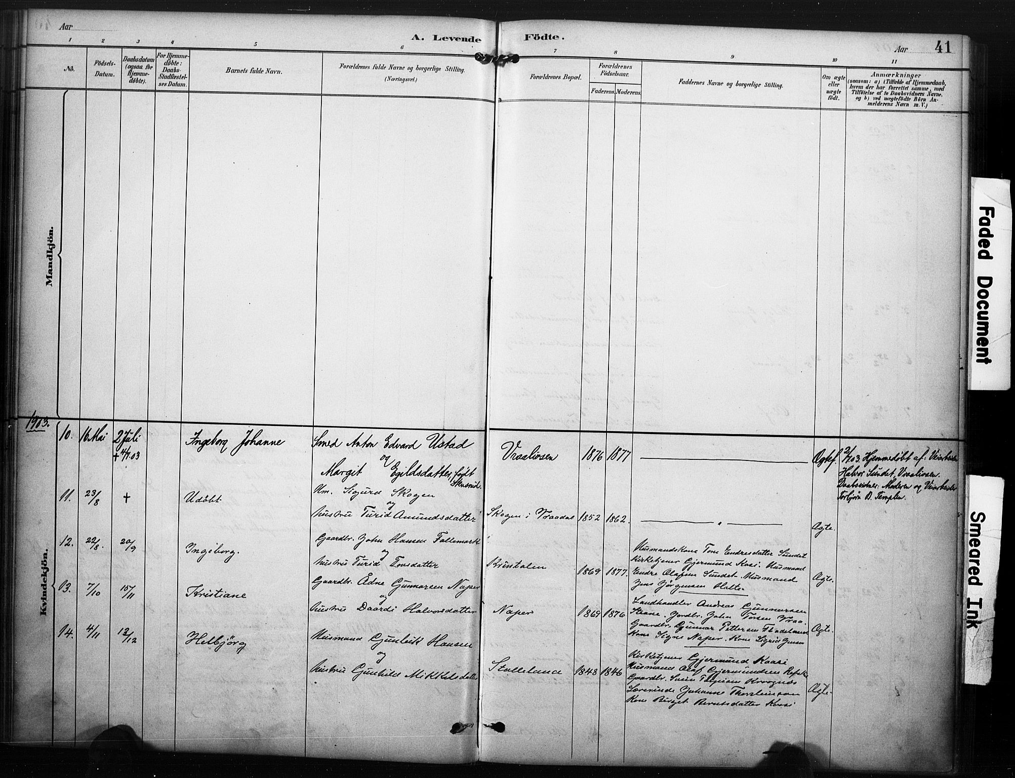 Kviteseid kirkebøker, SAKO/A-276/F/Fc/L0002: Parish register (official) no. III 2, 1882-1908, p. 41