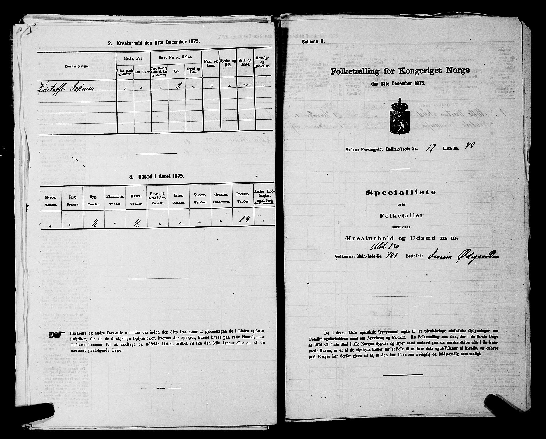 SAKO, 1875 census for 0623P Modum, 1875, p. 2265