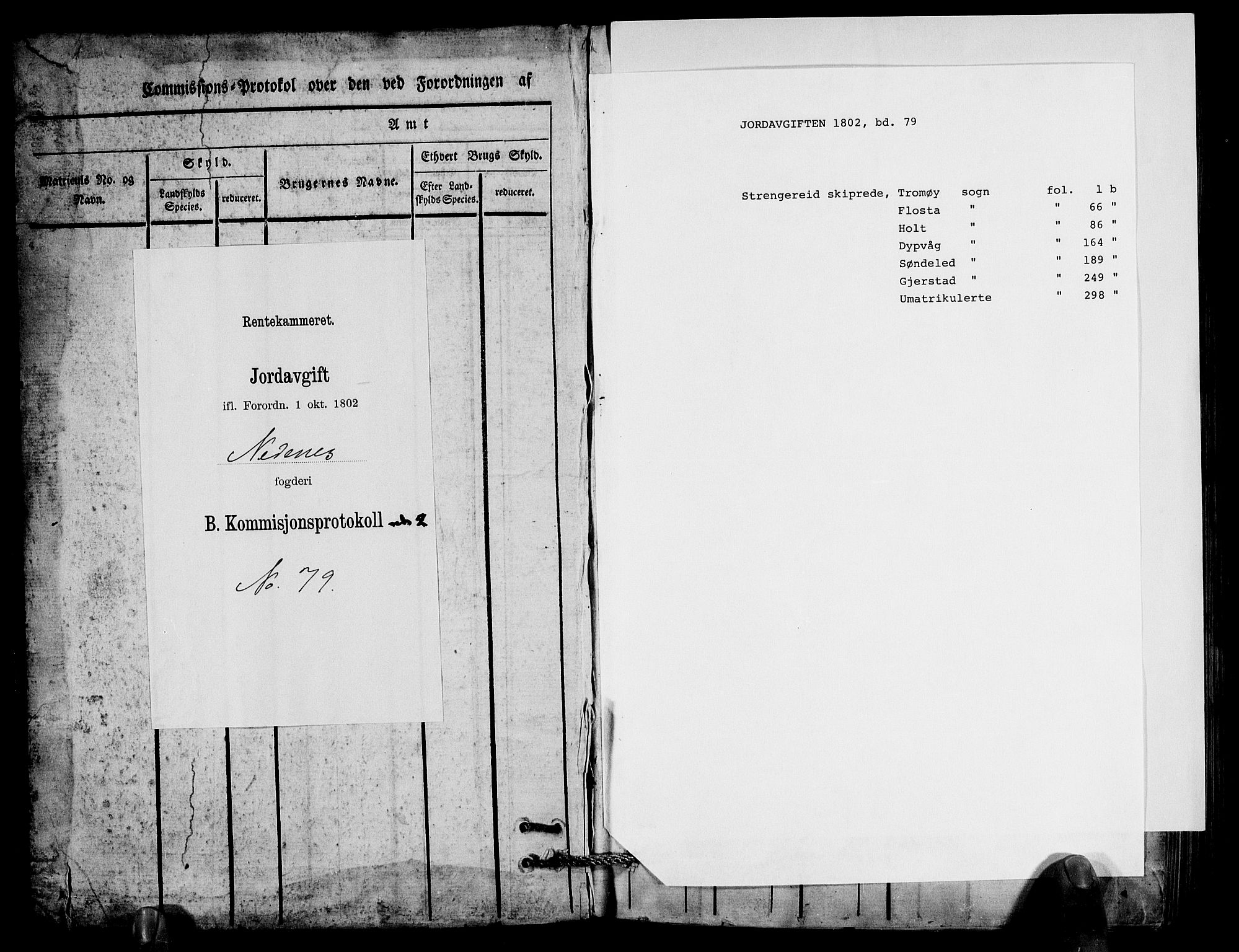 Rentekammeret inntil 1814, Realistisk ordnet avdeling, AV/RA-EA-4070/N/Ne/Nea/L0079: Nedenes fogderi. Kommisjonsprotokoll "Nr. 2", for Strengereid skipreide, 1803, p. 1