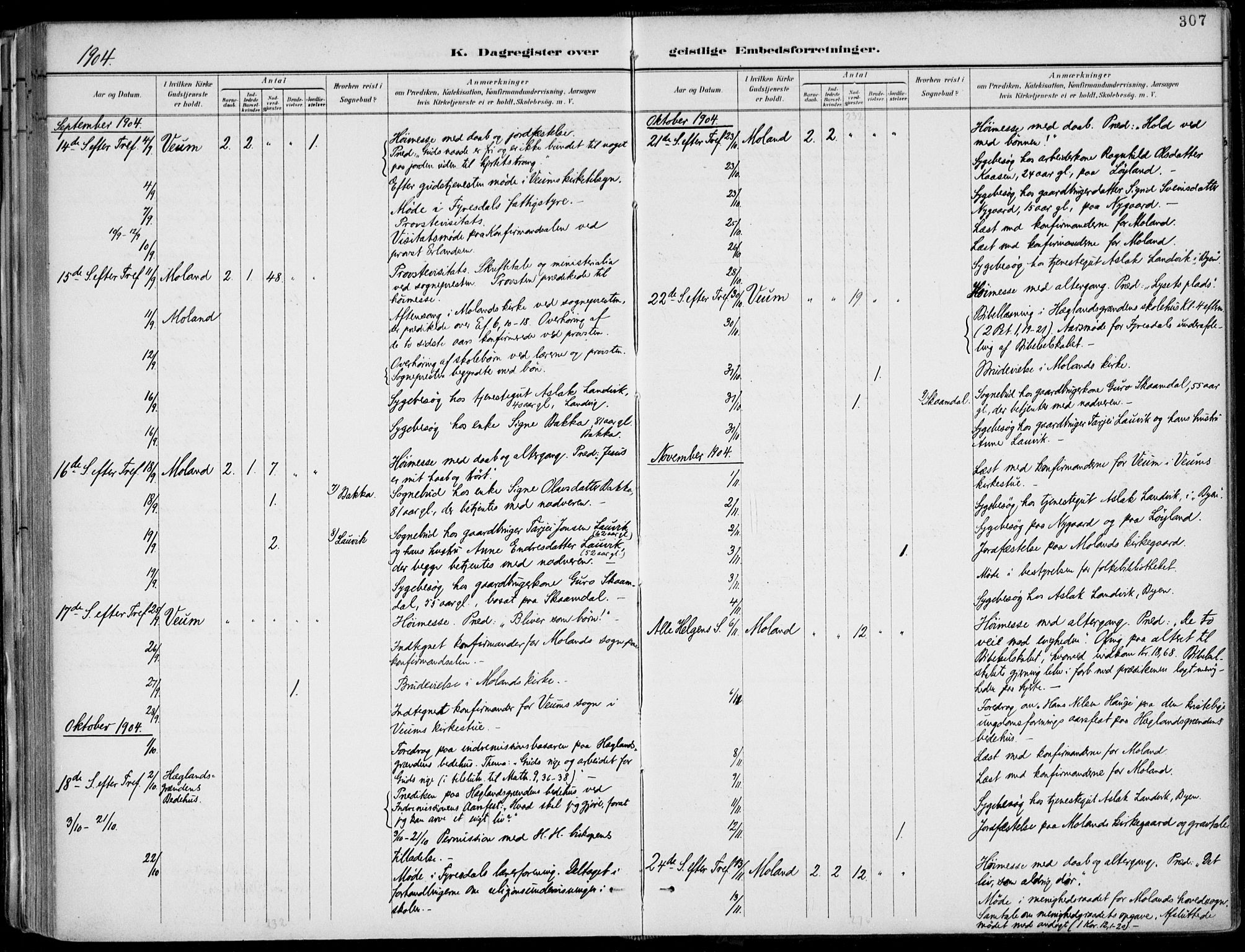 Fyresdal kirkebøker, AV/SAKO-A-263/F/Fa/L0007: Parish register (official) no. I 7, 1887-1914, p. 307