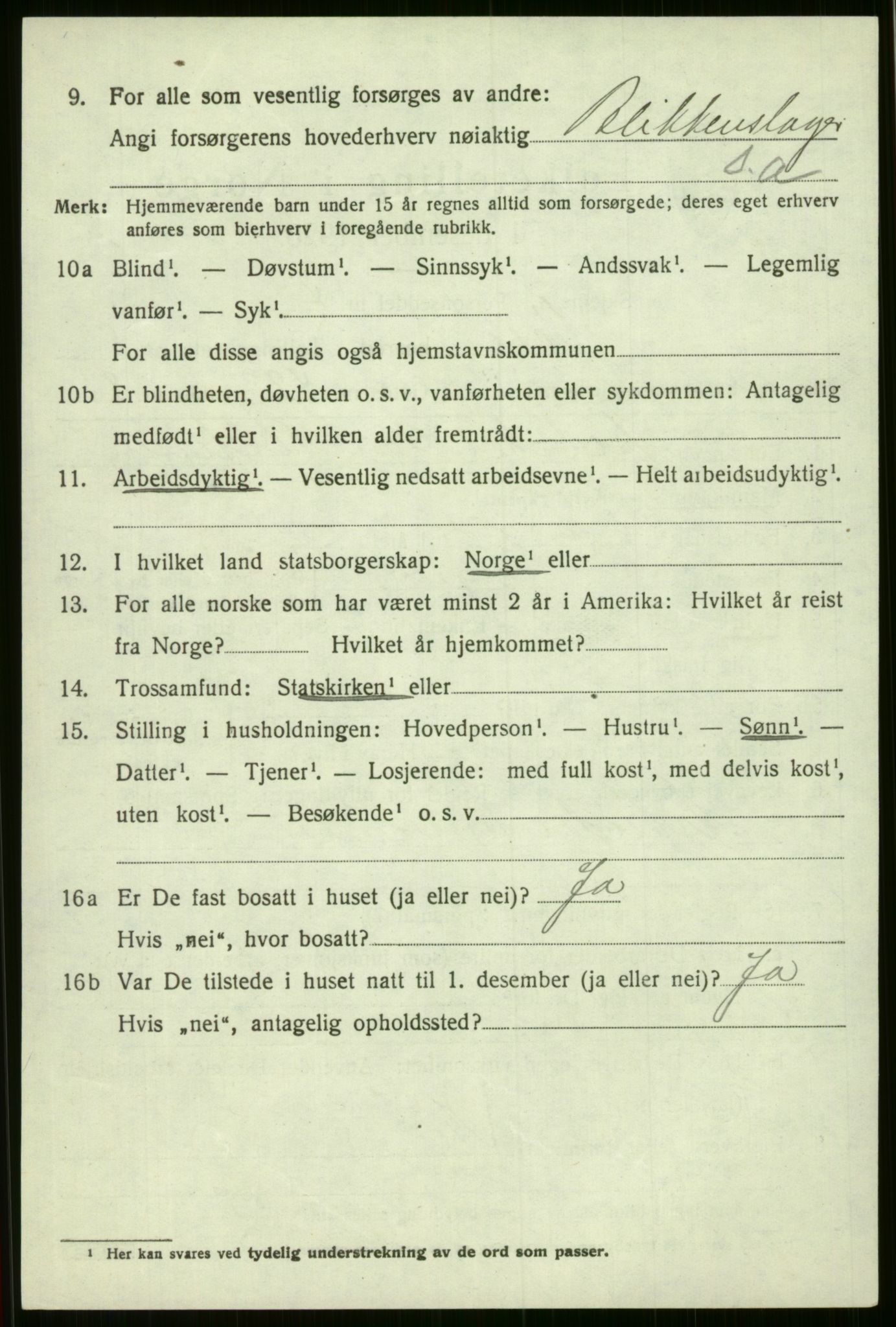 SAB, 1920 census for Voss, 1920, p. 7882