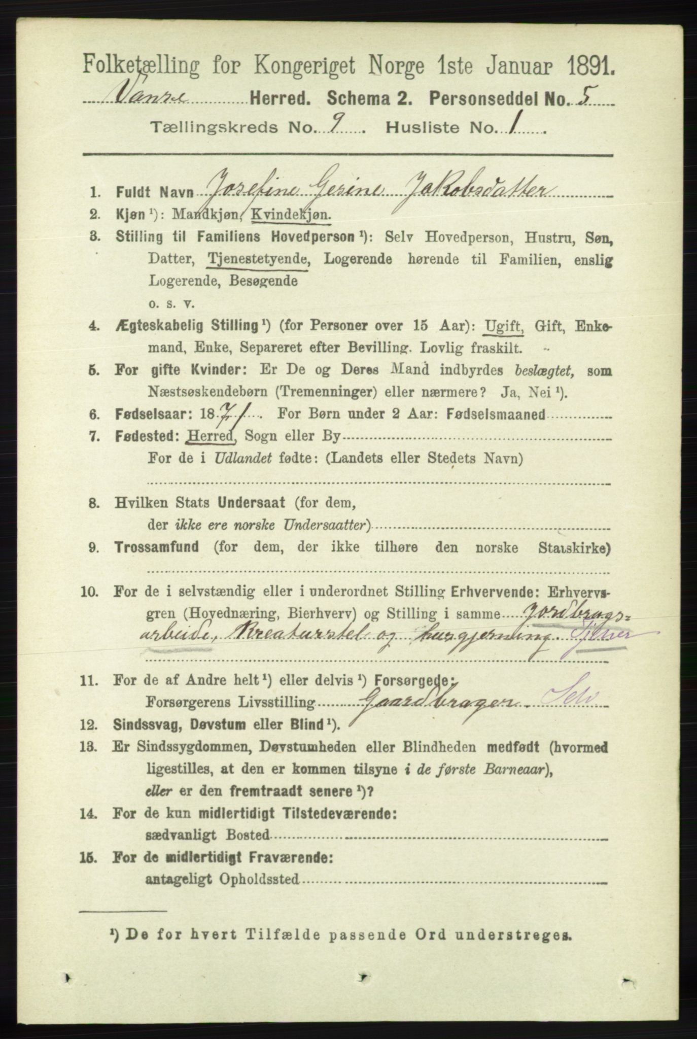 RA, 1891 census for 1041 Vanse, 1891, p. 5272