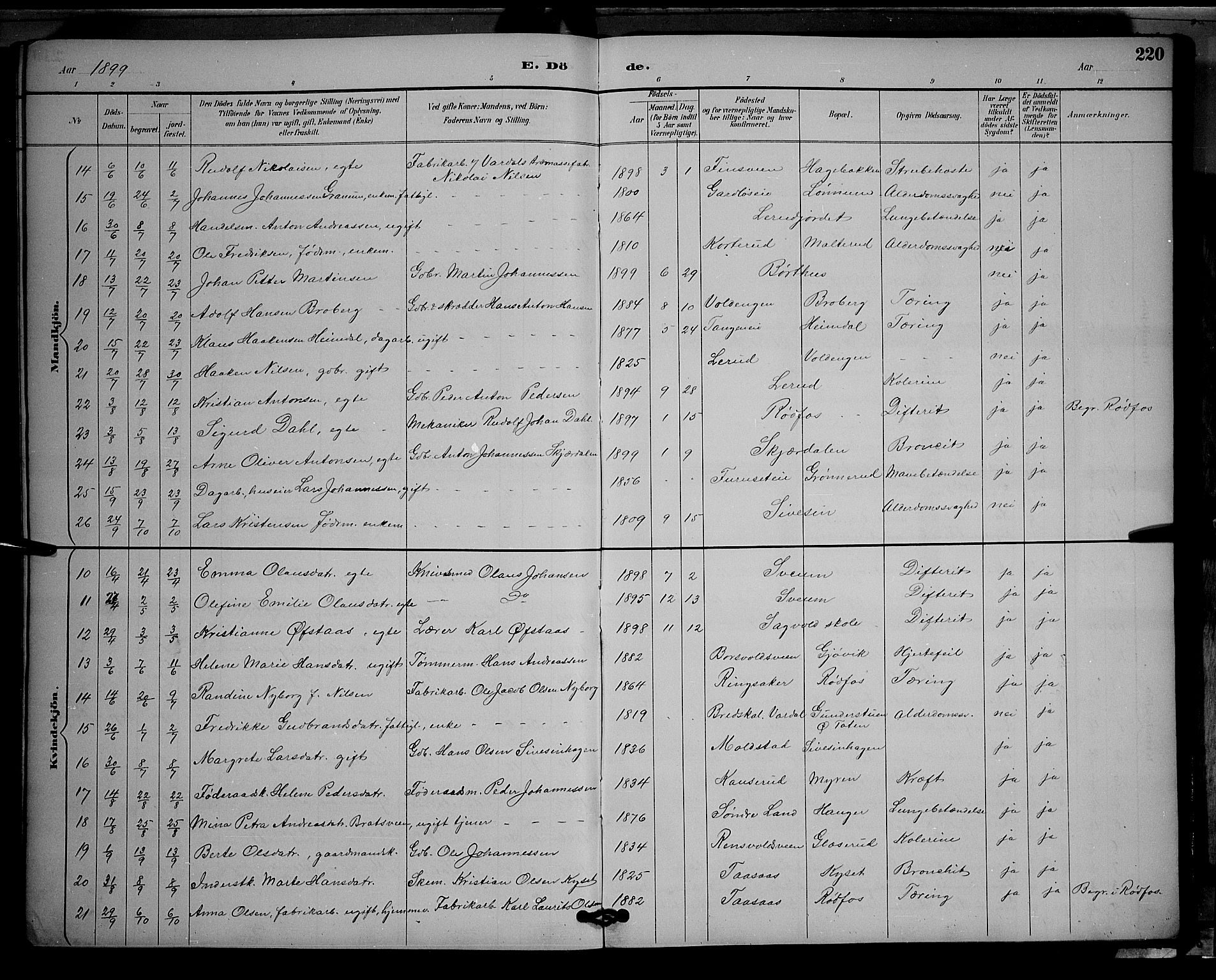 Vestre Toten prestekontor, SAH/PREST-108/H/Ha/Hab/L0009: Parish register (copy) no. 9, 1888-1900, p. 220