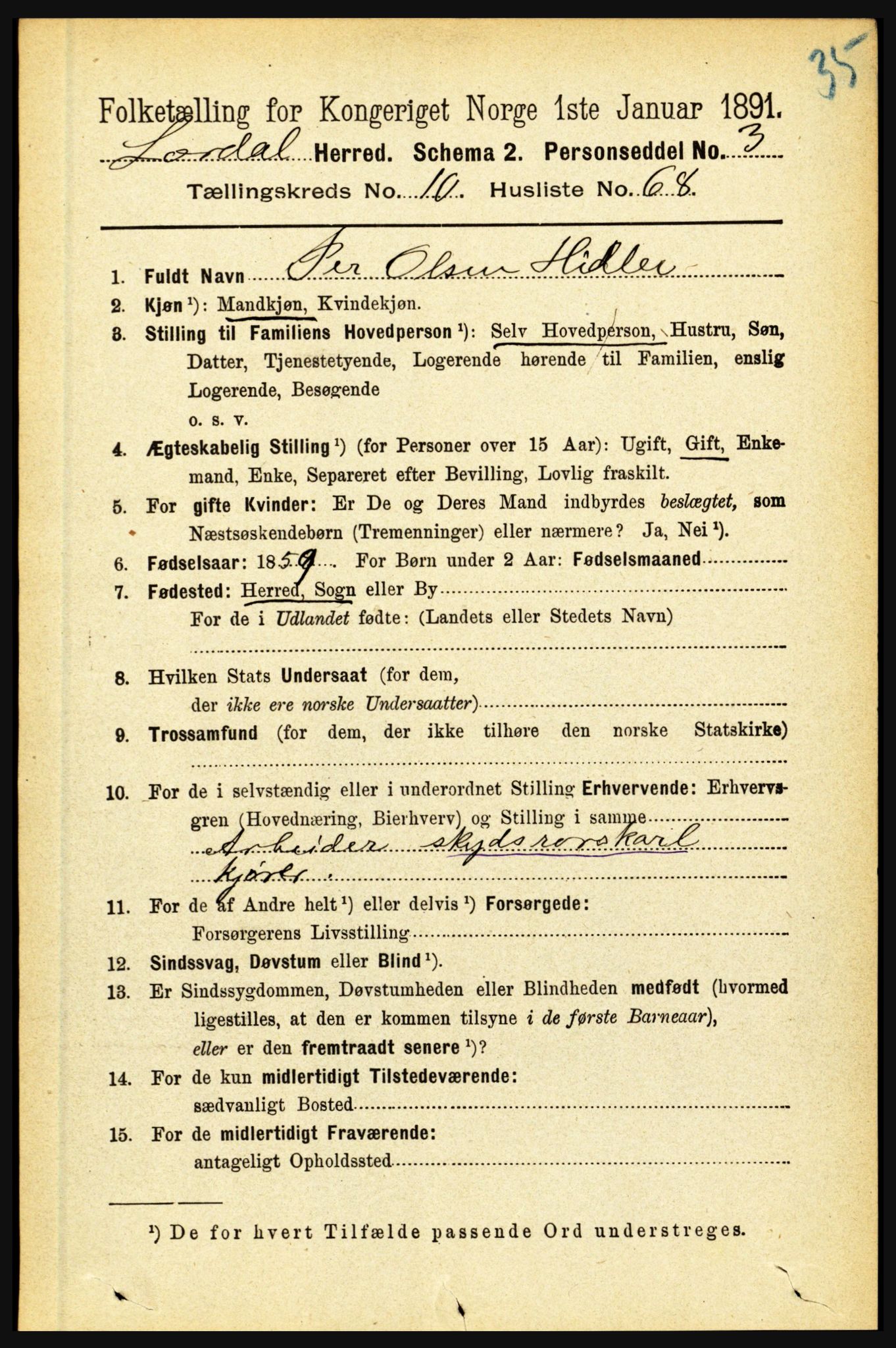 RA, 1891 census for 1422 Lærdal, 1891, p. 2088