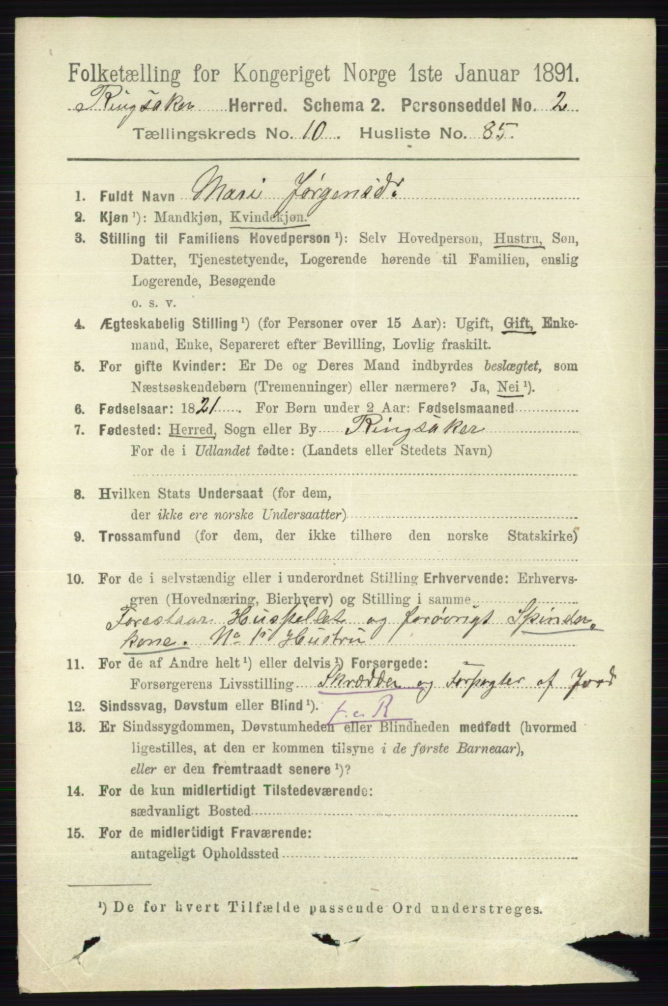 RA, 1891 census for 0412 Ringsaker, 1891, p. 6165